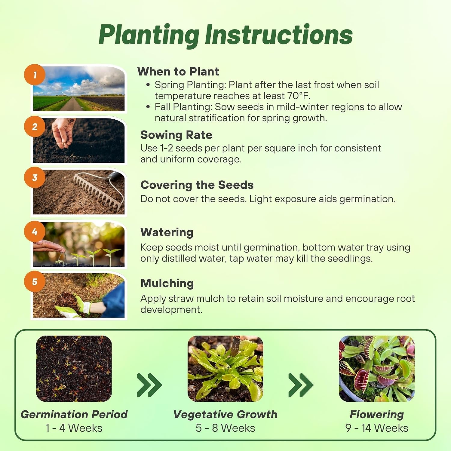 Outsidepride Venus Flytrap Seeds - 20 Pcs Perennial, Unique & Carnivorous, Indoor Plant Seeds for House Plants, Easy to Grow & Low Maintenance