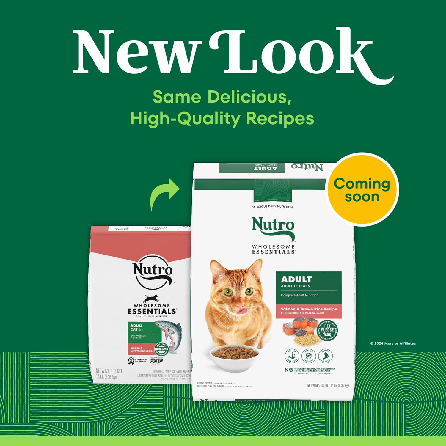 Nutro Wholesome Essentials Adult Dry Cat Food, Salmon & Brown Rice, 3 lb | Real salmon #1 ingredient, Omega-6 for skin & coat, prebiotic fiber for digestion, Vitamin E & Selenium antioxidants