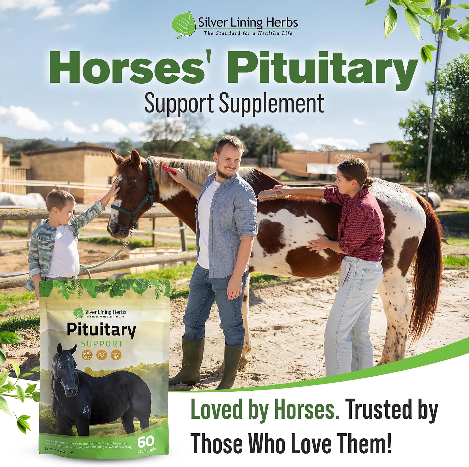 Horse Pituitary Gland Supplements - 1 lb | Pituitary Gland Supplements for Horses, Barberry, Burdock & Kelp, Shedding, Coat & Metabolism Support, 1 lb