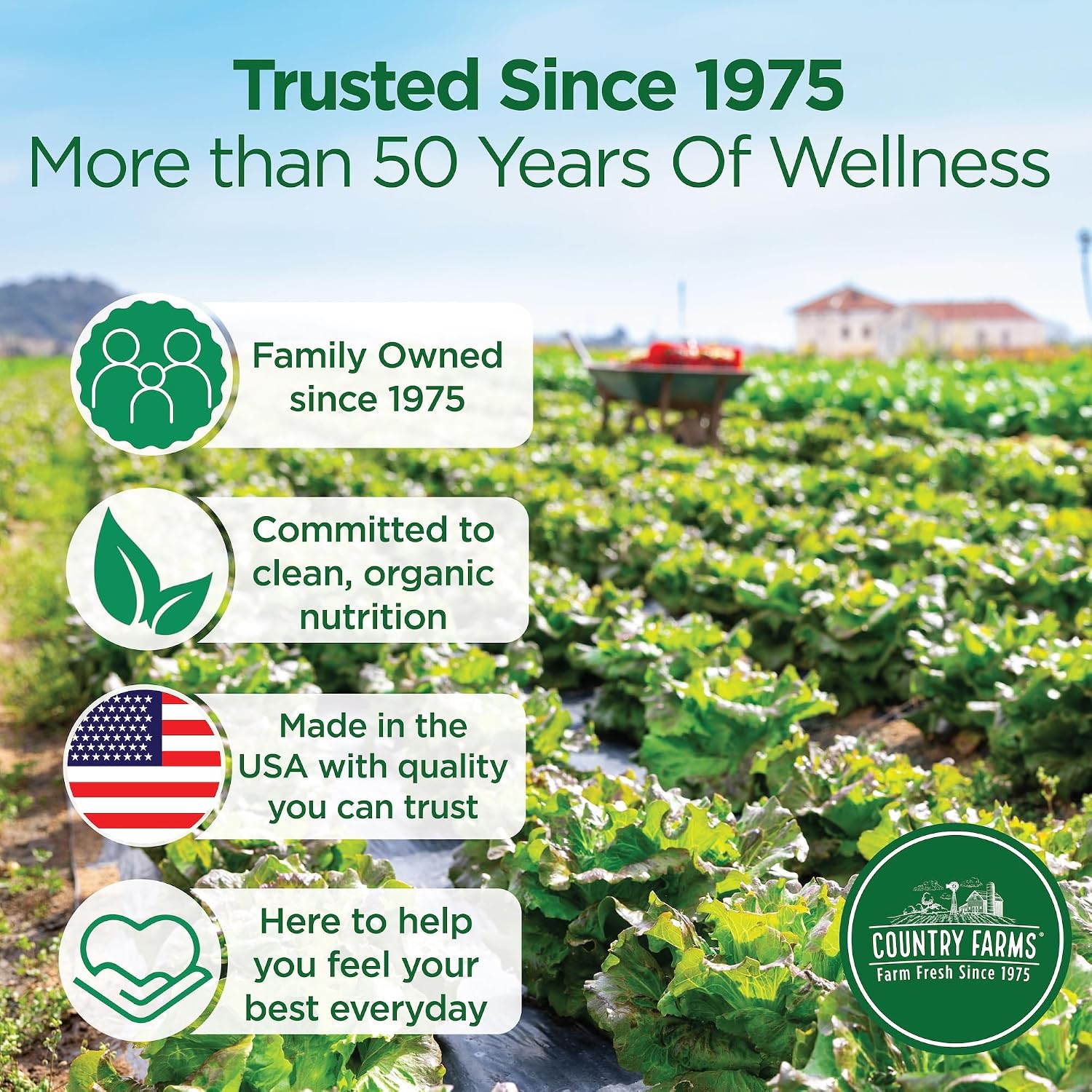 Country Farms Organic Super Greens Powder, Daily Greens Drink Mix with 50 Organic Superfoods, Fruits, Vegetables, Fiber, Mushrooms & Probiotics for Gut Health, Digestion & Energy, Berry Flavor