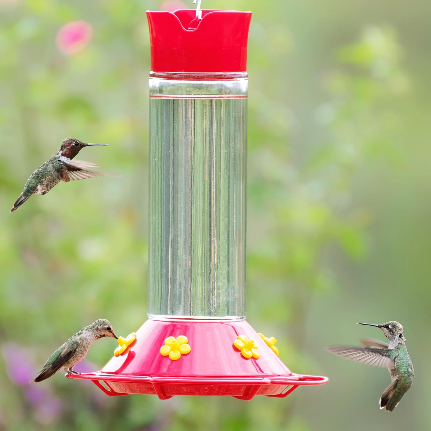 Perky-Pet 209B-1SR Glass Hummingbird Feeders for Outdoors Hanging - 30 fl oz Nectar Capacity - Ant & Bee Guarded Red Bird Feeder
