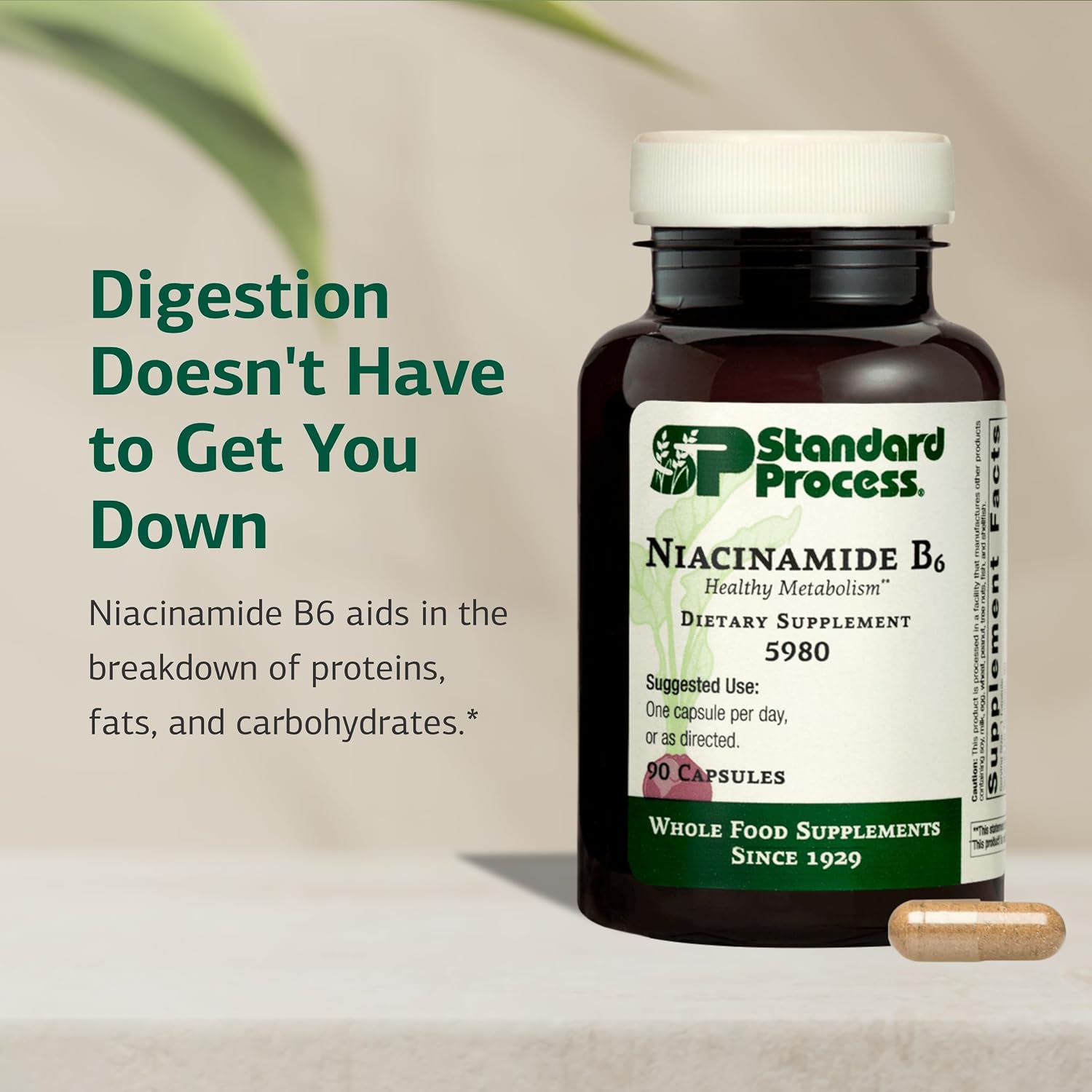 Standard Process Niacinamide B6 - Supports Energy Metabolism & Nervous System Health - Aids Blood Flow & Digestive Health with Niacin & Vitamin B6