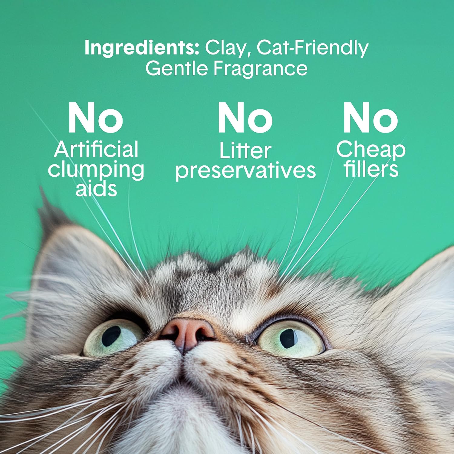Boxie Premium Unscented Clumping Cat Litter 30+ Day Odor Control 16 lb