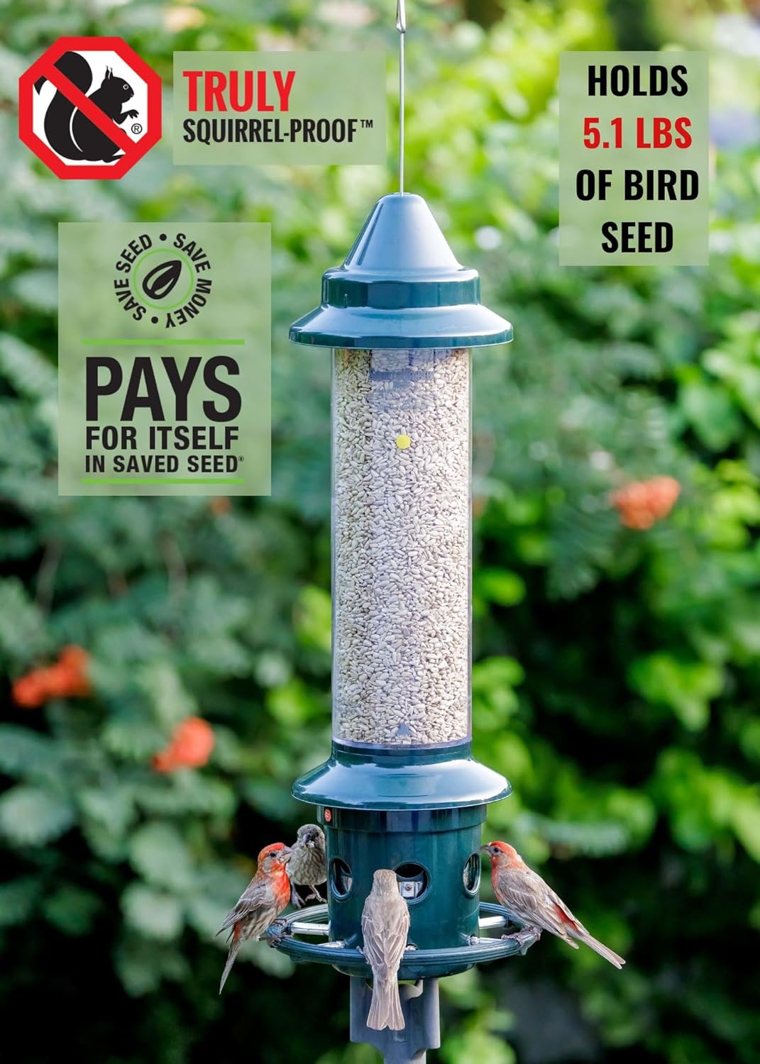 Squirrel Buster Plus Squirrel-proof Bird Feeder w/Cardinal Ring and 6 Feeding Ports, 5.1-pound Seed Capacity, Adjustable