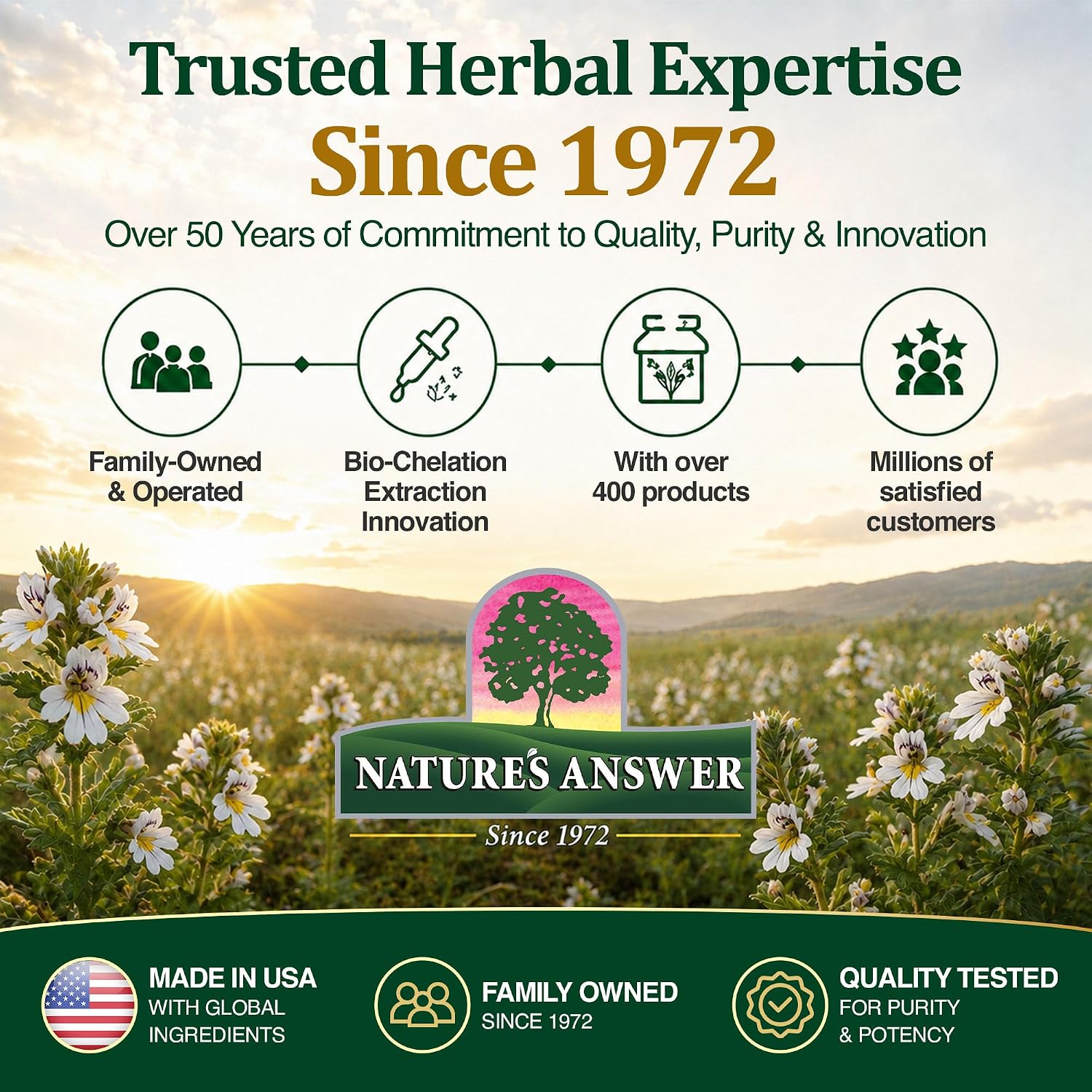 Nature's Answer Eyebright Herb | Supports Healthy Eyes & Vision | Non-GMO | Alcohol-Free, Gluten-Free, Kosher Certified