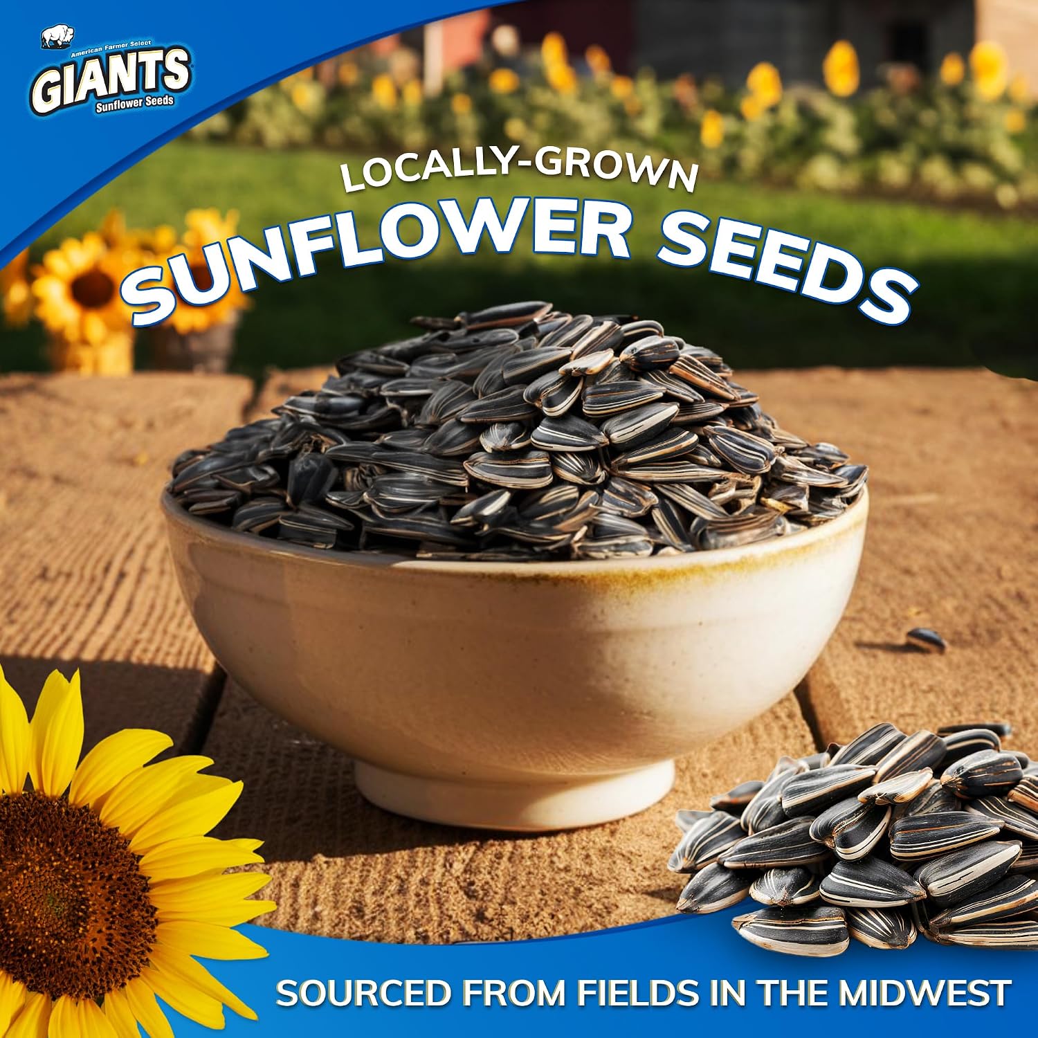 GIANTS Original Sunflower Seeds - Sunflower Seeds to Eat, Sunflower Seeds Bulk, Lightly Salted Sunflower Seeds for Eating, High Protein Snack - 5.75 oz Resealable Bags (Case of 12)