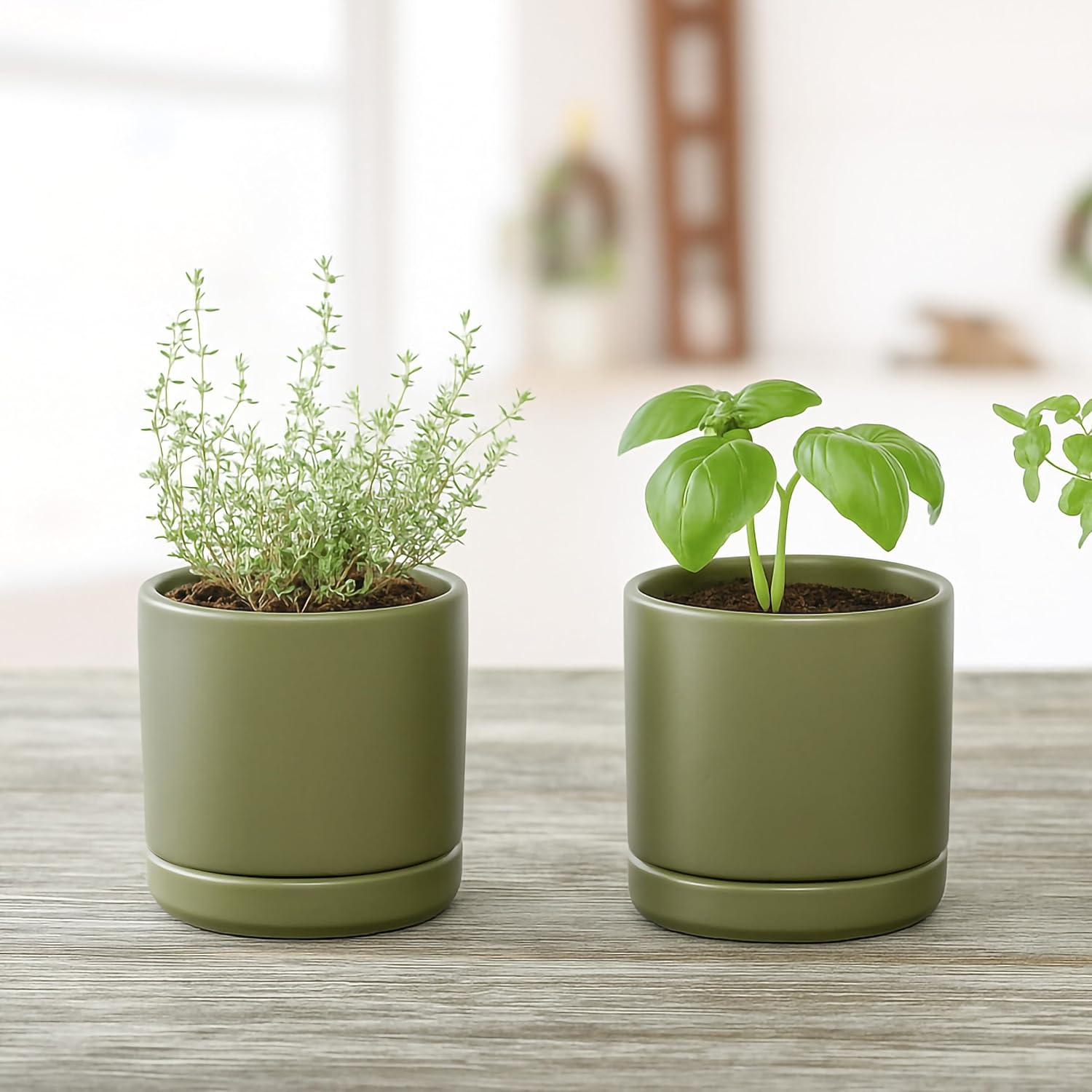 D'vine Dev 2-Pack Ceramic Pots with Saucers, White/Grey, 4.7 in, 94-V-B-6