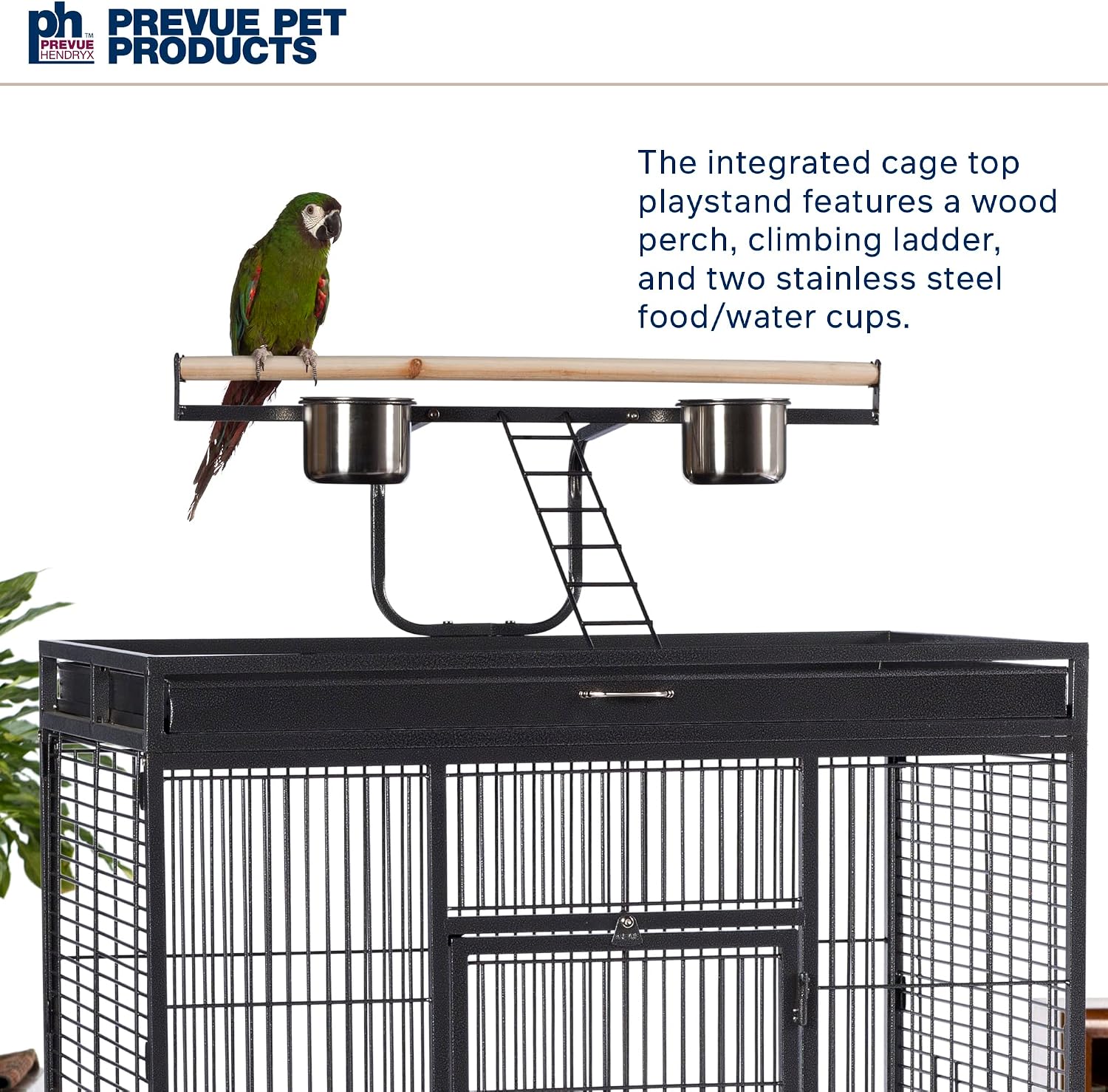 Prevue Pet Products Wrought Iron Select Bird Cage 3154BLK, Black Hammertone, 36-Inch by 24-Inch by 66-Inch