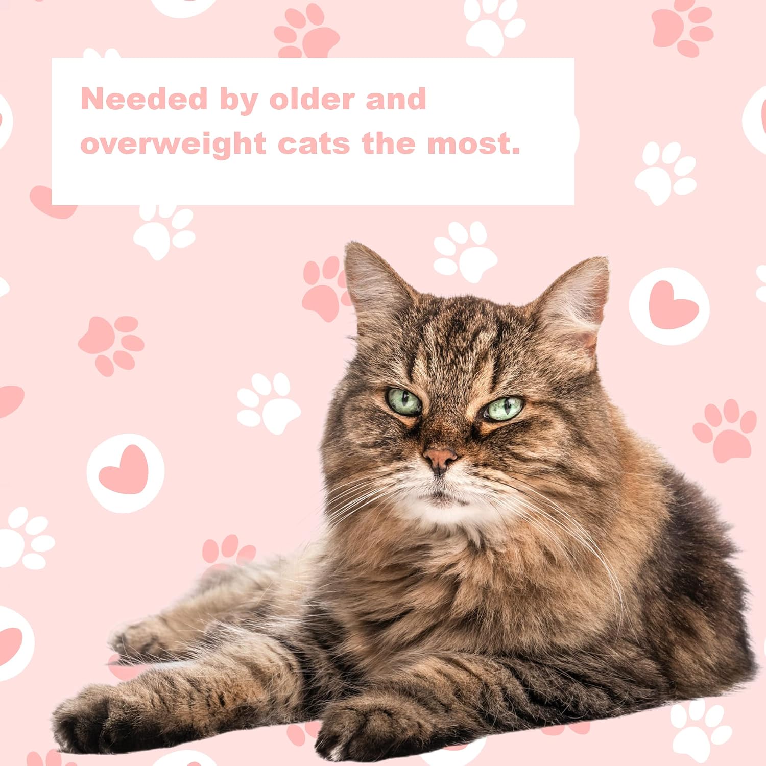 LifeLink's Zobaline for Cats 3mg x 60 Tablets
