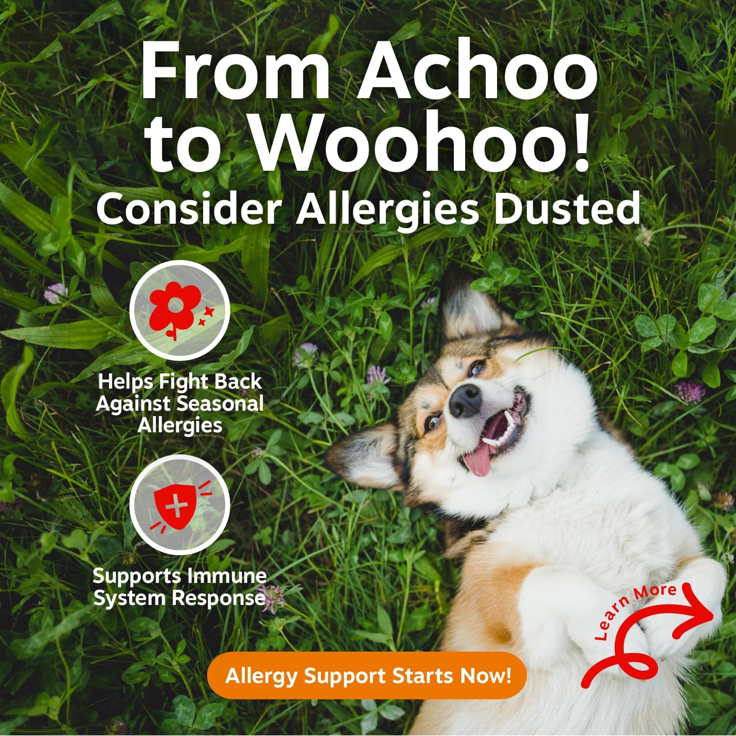 Zesty Paws Allergy Immune Bites - Dog Allergy Chews, Dog Probiotics for Itchy Skin and Ears, Lamb, 90ct