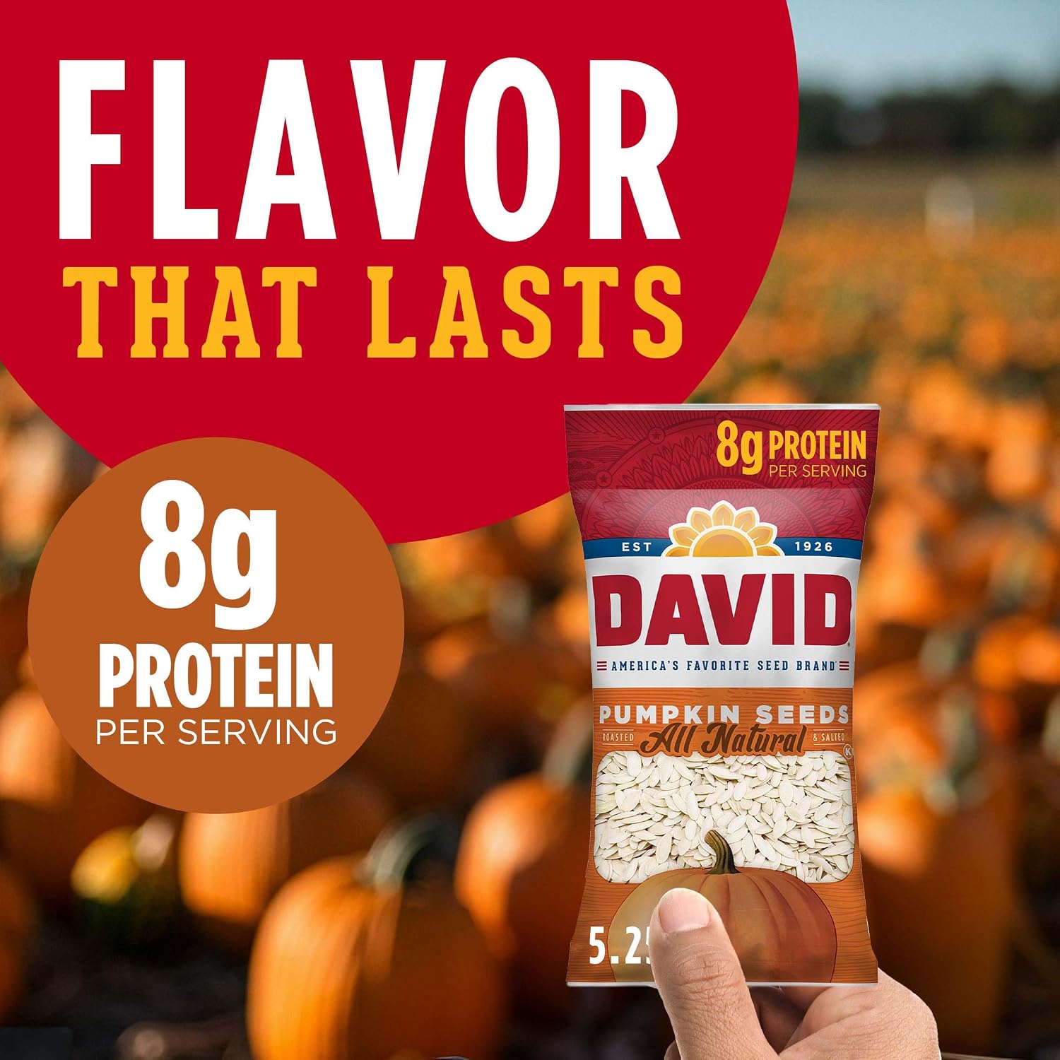 DAVID All Natural Pumpkin Seeds, 2.25 oz. (Pack of 12)
