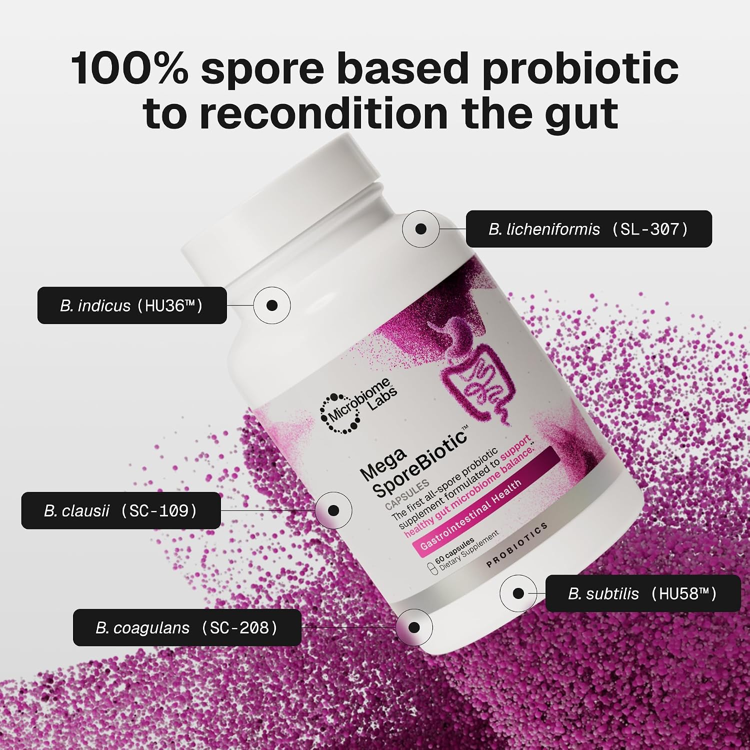 Microbiome Labs MegaSporeBiotic Daily Probiotic for Women + Men, 60 Ct