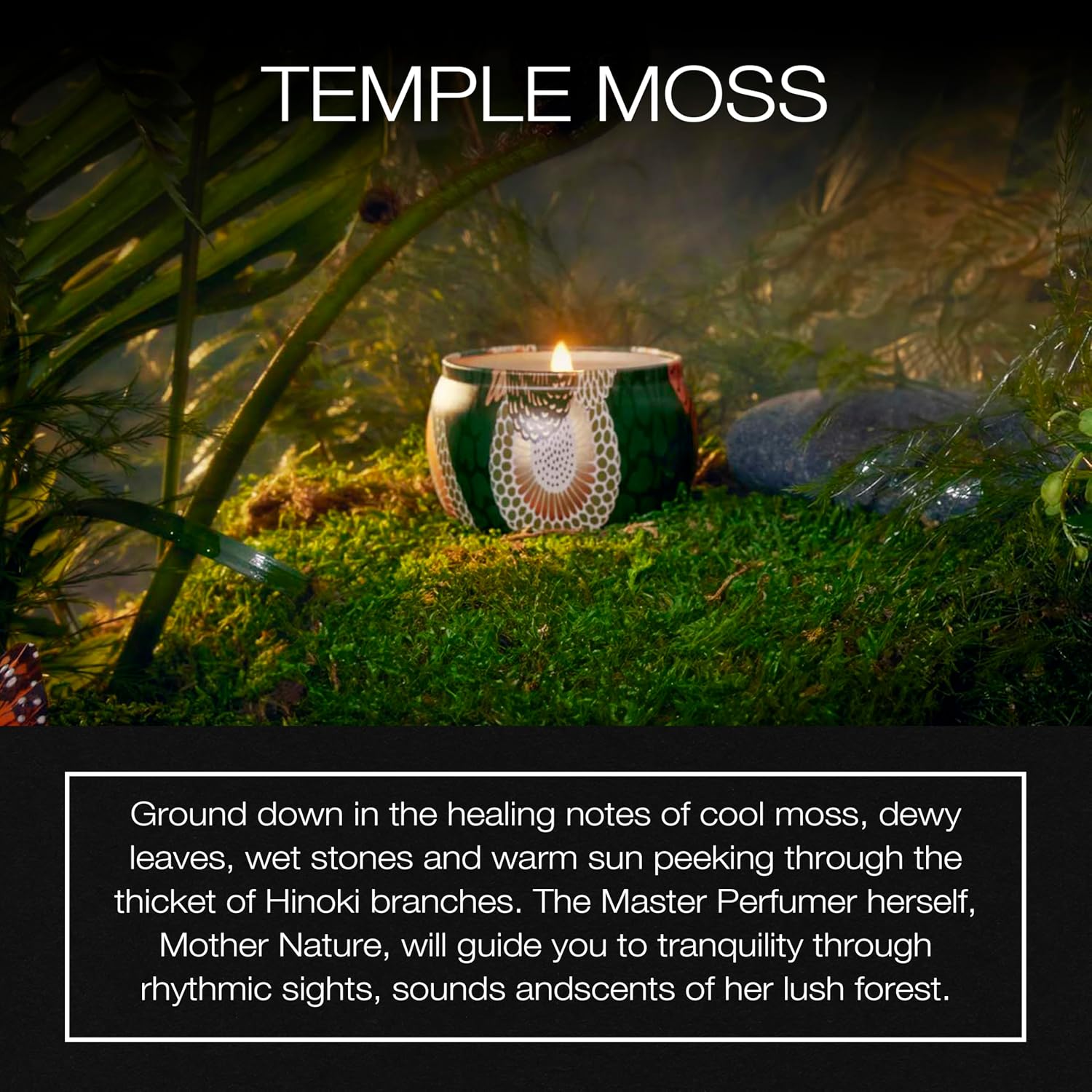 Voluspa Baltic Amber Candle | Mini Tin | 4 Oz. | 25 Hour Burn Time | Coconut Wax for a Cleaner Burn