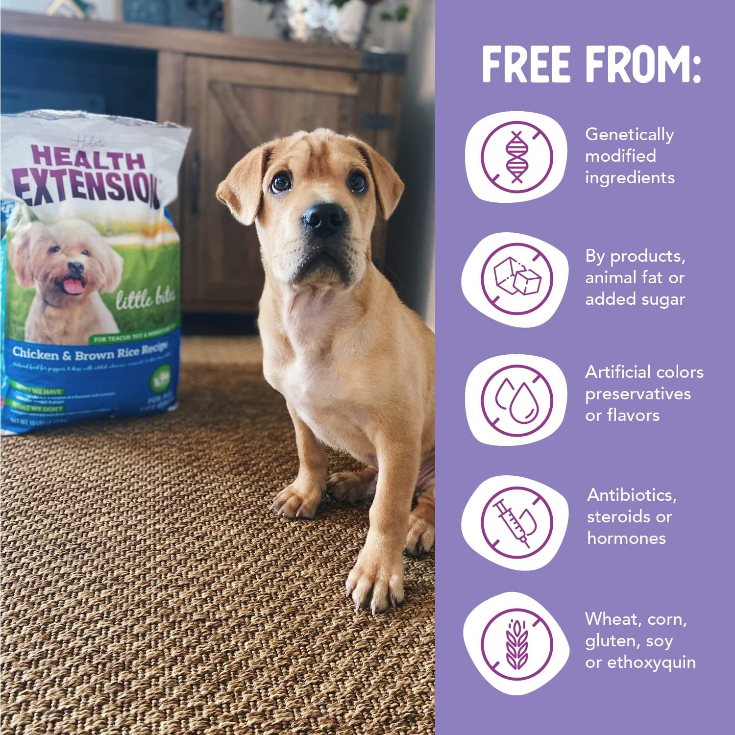Health Extension Little Bites LITE Dry Dog Food, Chicken & Brown Rice for Toy and Small Breeds, Supports Healthy Weight, with Probiotics & Superfoods for Digestion & Coat Health, 4 lb Bag
