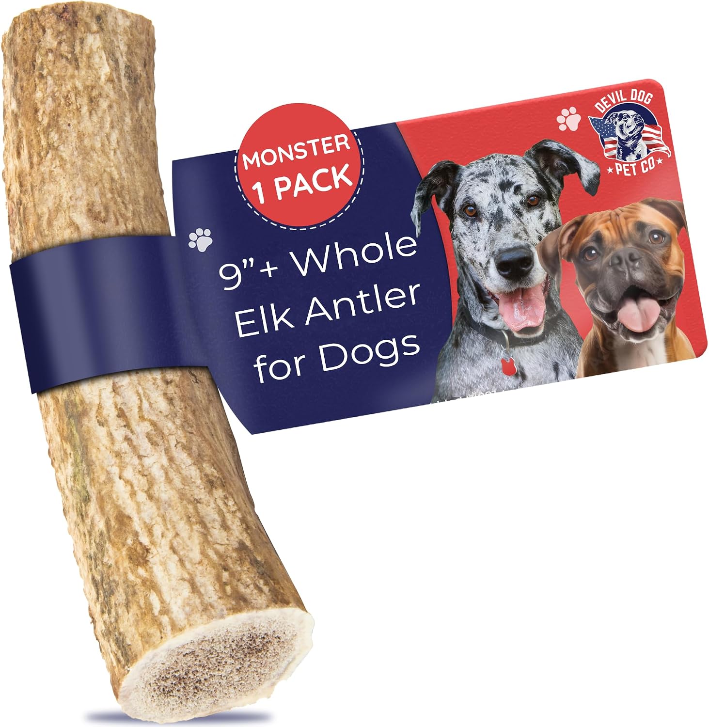 Devil Dog Pet Co Whole Elk Antlers for Dogs, Medium, Aggressive Chewers | Naturally shed Grade A Rocky Mountain elk antler, single ingredient, long lasting, 5 in+, fits breeds up to 50 lb