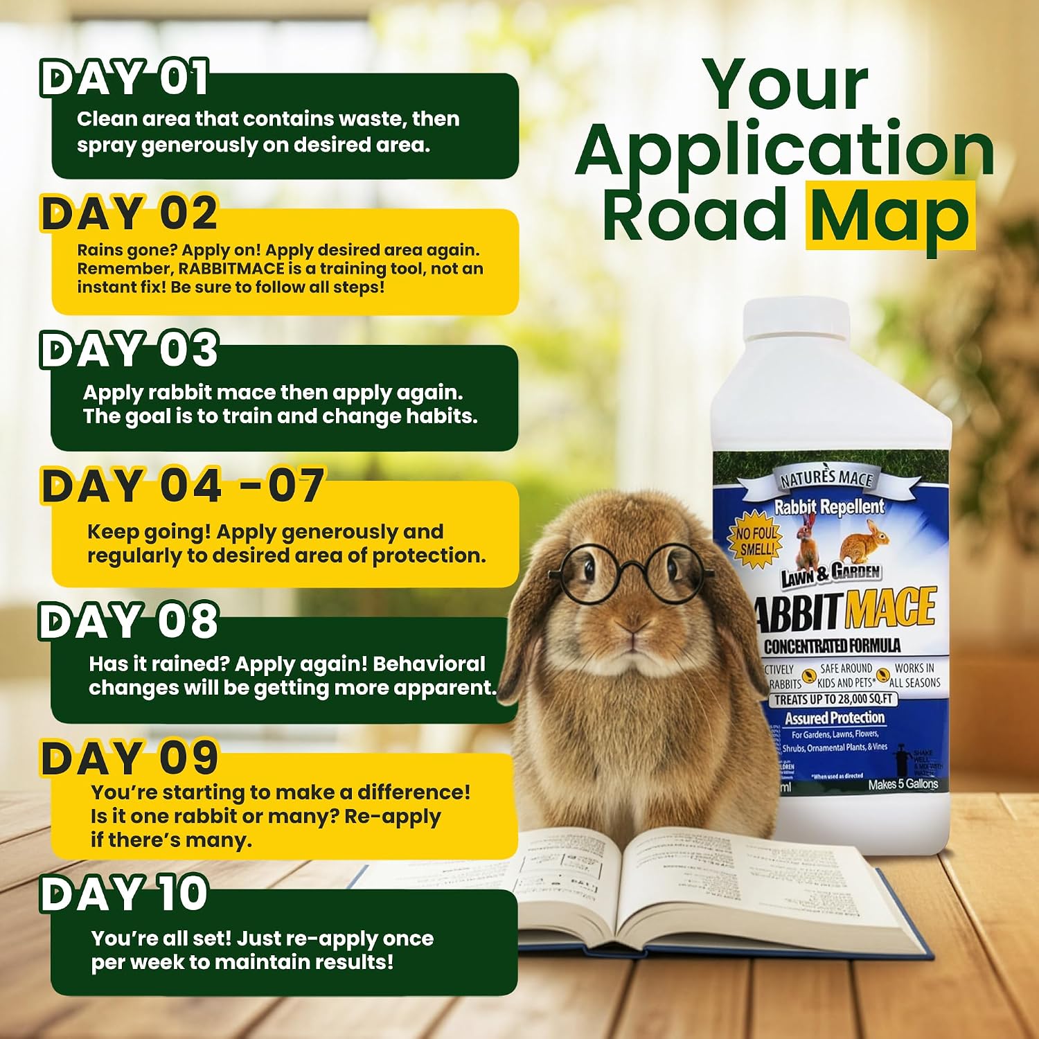 Nature's MACE Rabbit Mace Rabbit Repellent Spray & Concentrate Kit | Outdoor Rabbit Repellent, Covers 29,400 Sq Ft, Mint Scent, Safe Around Pets, People & Plants.