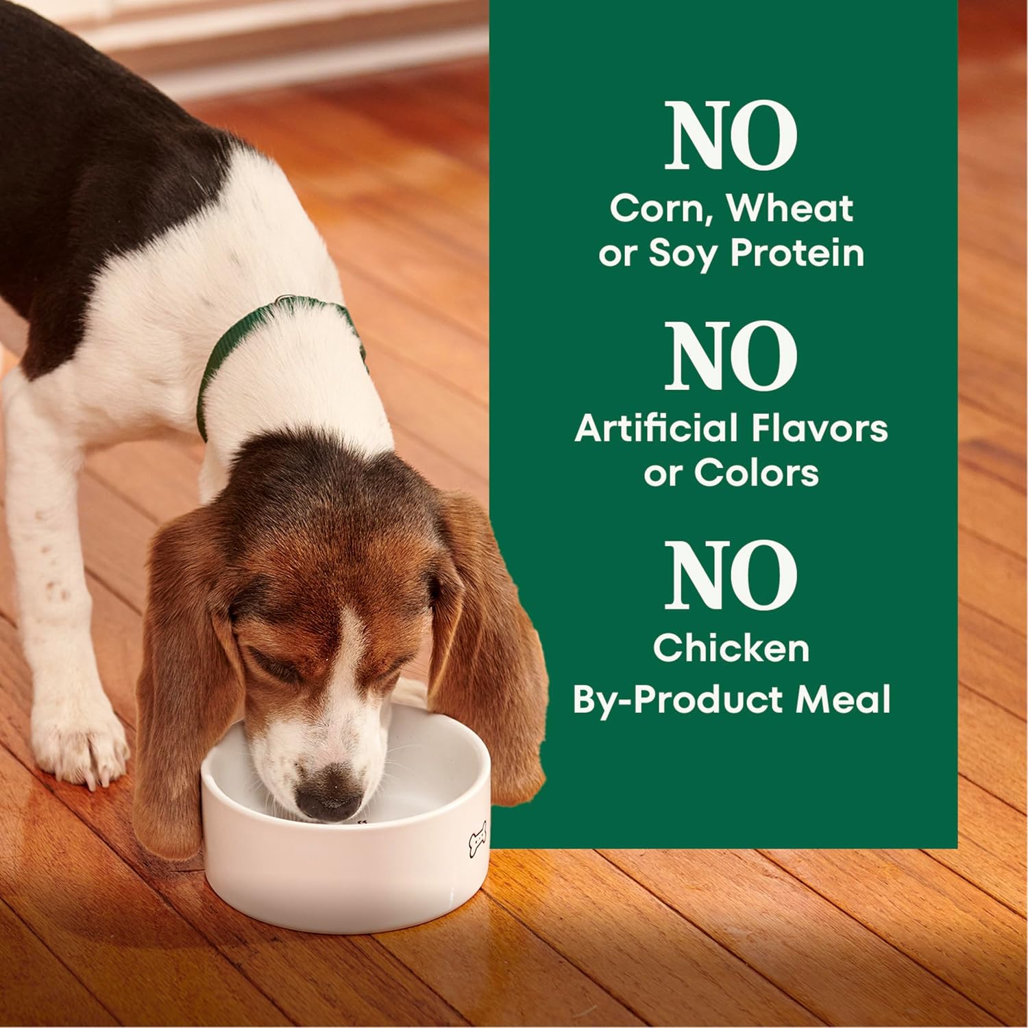Nutro Natural Choice Large Breed Puppy Dry Dog Food, Chicken, 30 lb | Real chicken #1 ingredient, non-GMO, no corn, wheat, soy, supports brain & eye development, bones, muscles & joints
