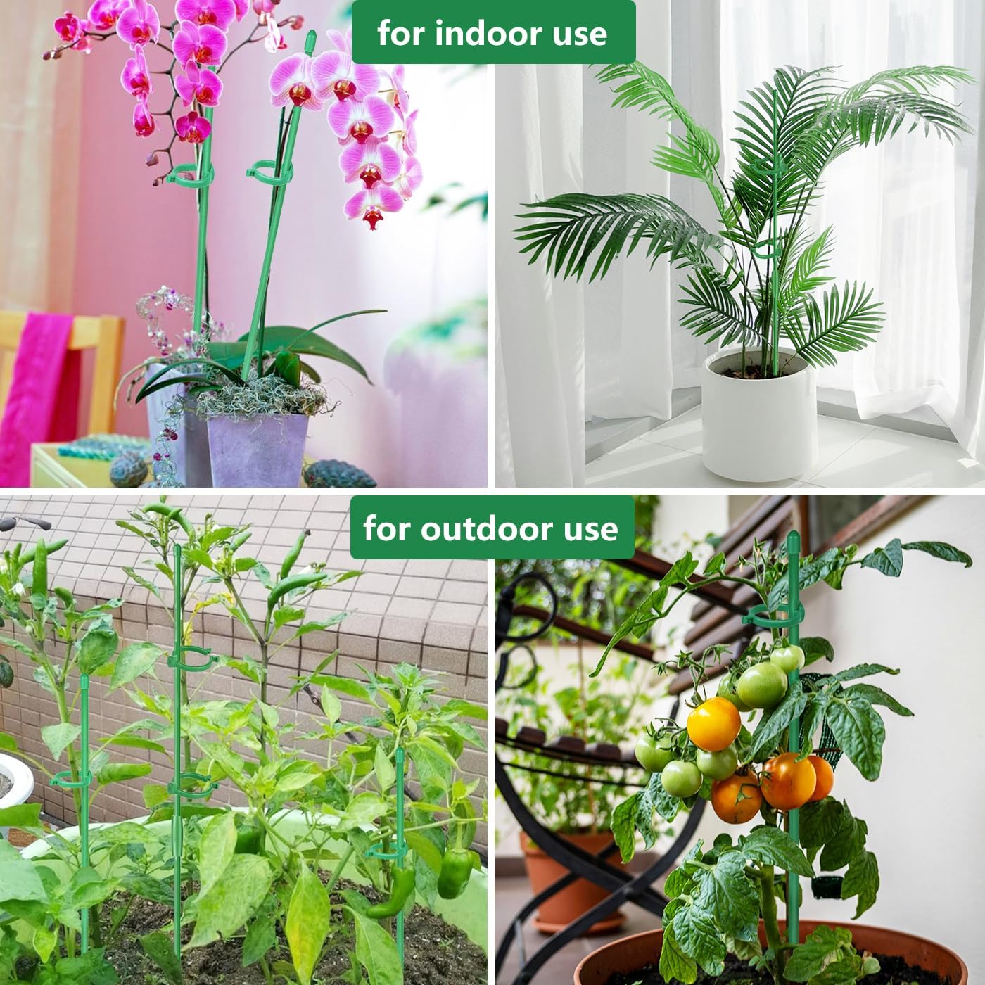 Belit 8 Pack Plant Supports for Small Plants, Garden Flowers Green Plant Support Ring, Planter Support Ring for Schlumbergera, Clivia, Succulents