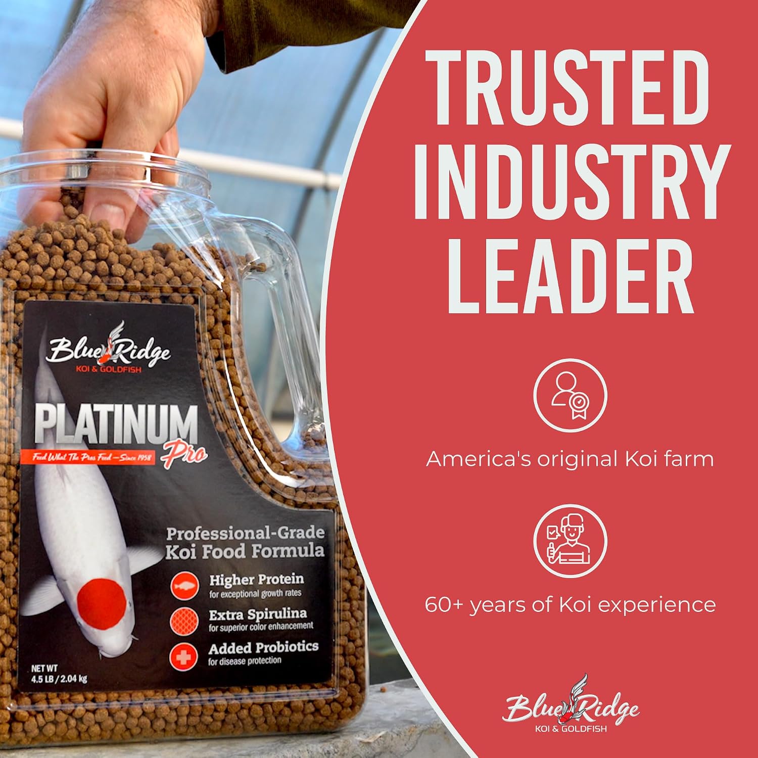 Blue Ridge Koi Platinum Pro 41% Protein Fish Food, 3/16" Pellets, 4.5 lb | Floats, softens fast; Spirulina & Canthaxanthin color support; probiotic-enriched; warm-season formula