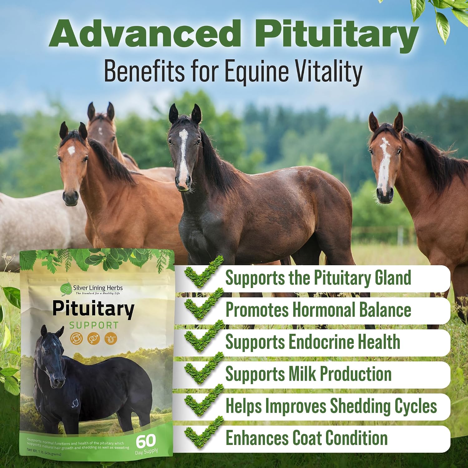 Horse Pituitary Gland Supplements - 1 lb | Pituitary Gland Supplements for Horses, Barberry, Burdock & Kelp, Shedding, Coat & Metabolism Support, 1 lb