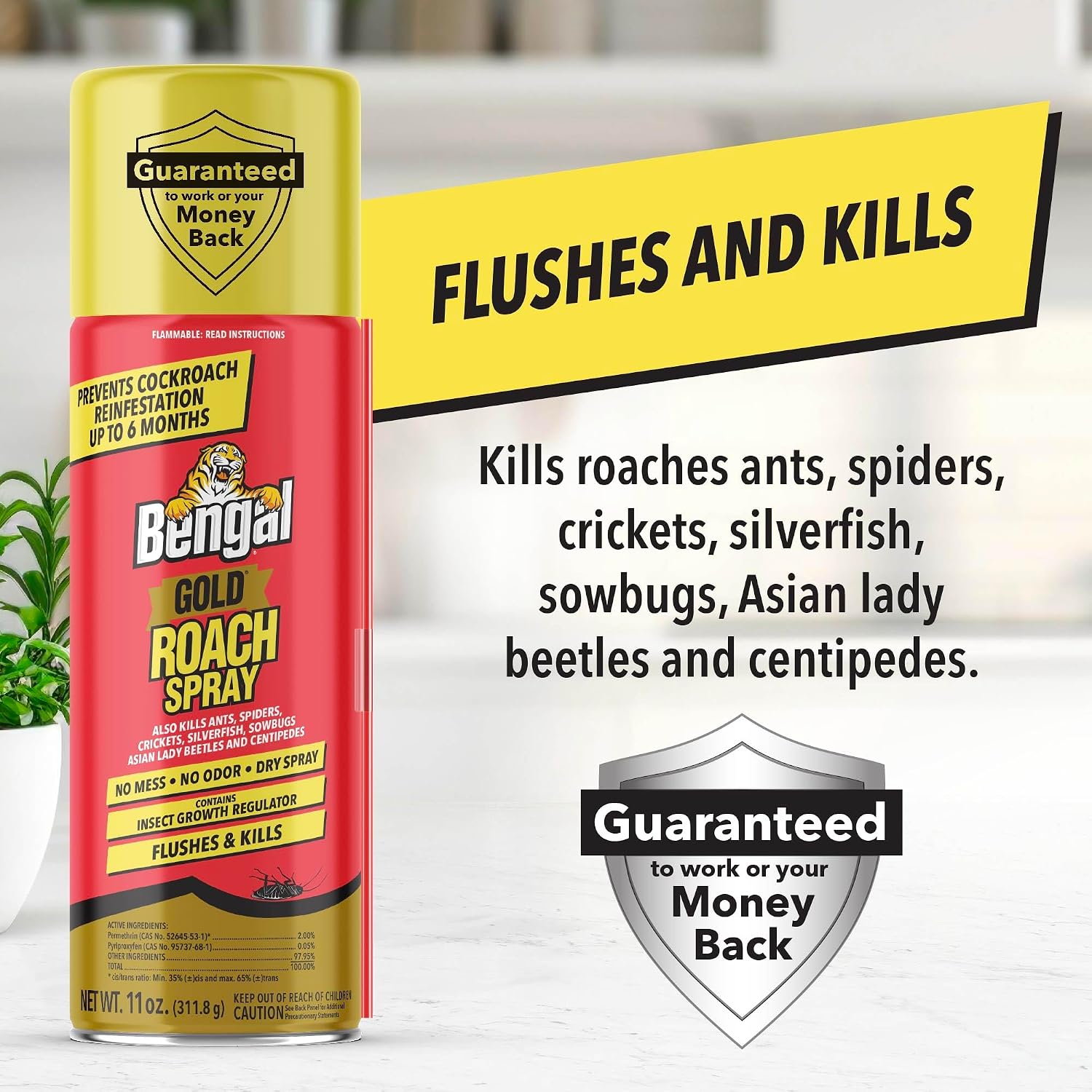 Bengal Gold Roach Spray - Prevents Reinfestation Up to 6 Months - 3 Pack | 11 oz - Odorless, Stain-Free Bug Spray for Home