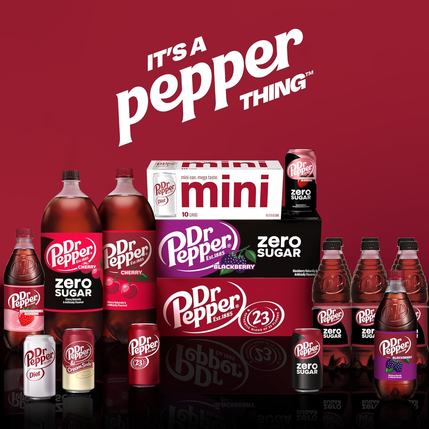Dr Pepper, 6 PK, 24 Fl oz Bottles