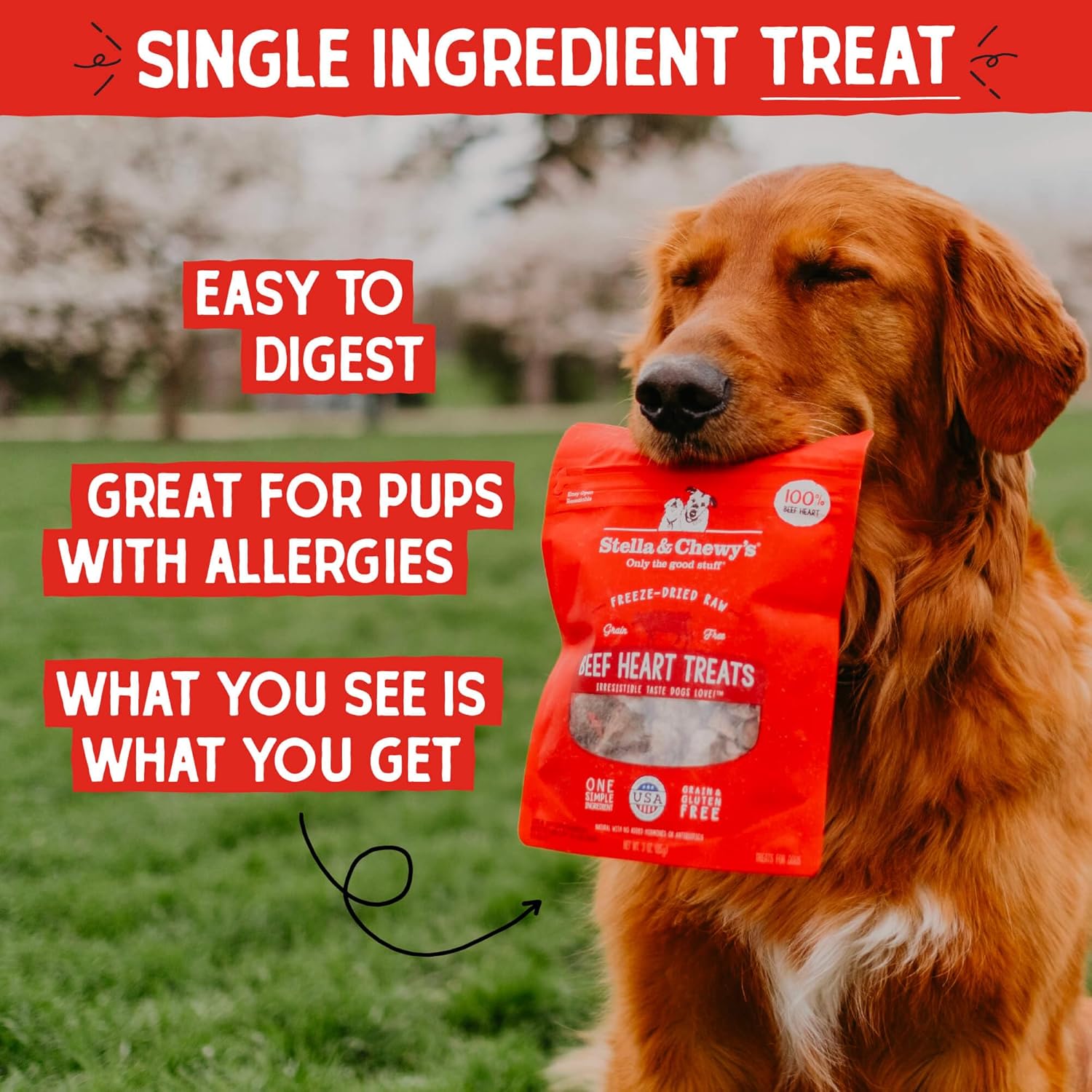 Stella & Chewy's Freeze-Dried Raw Lamb Heart Dog Treats - Single Ingredient, No Additives - Premium Training Treats - Perfect For Picky Eaters - 3oz Bag