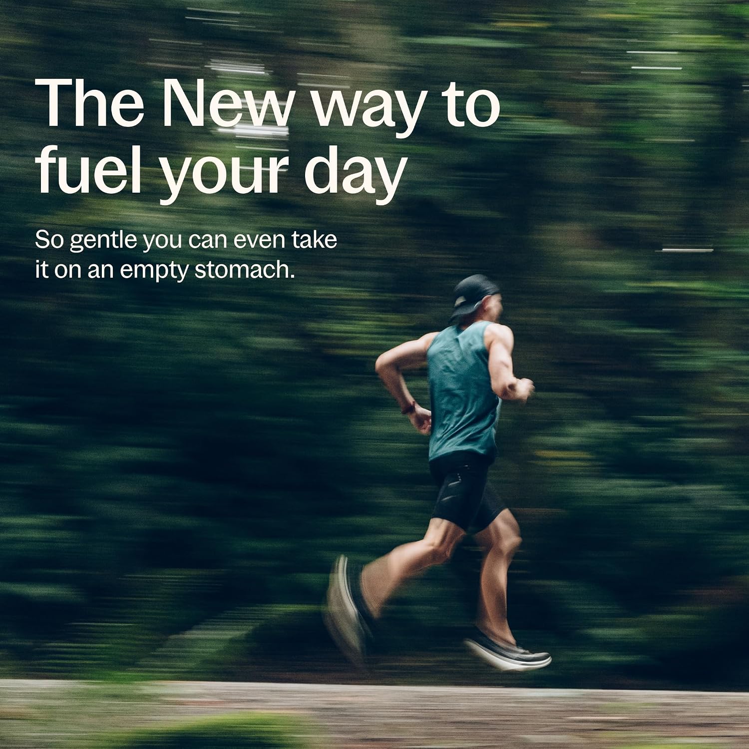 New Chapter One Daily Every Man's Multivitamin 40+ - Offers Eyesight, Immune System & Cellular Energy Support* - Contains Vitamin C, Saw Palmetto & More - Gluten Free & Vegetarian - 96 Tablets