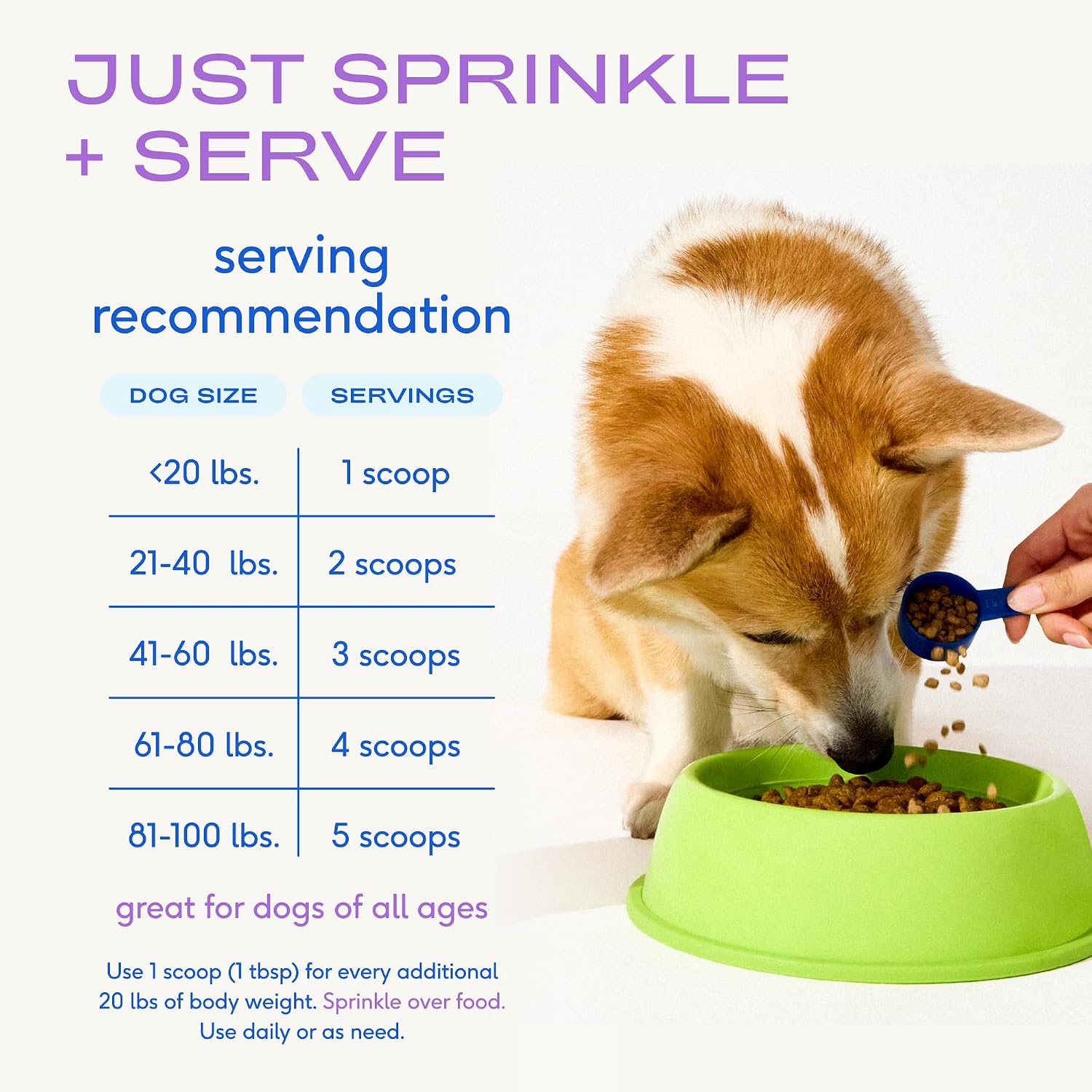Native Pet Probiotics for Dogs – Dog Probiotic Powder for Gut & Digestive Health, Vet-Formulated 6B CFUs Dog-Specific Probiotic Strains