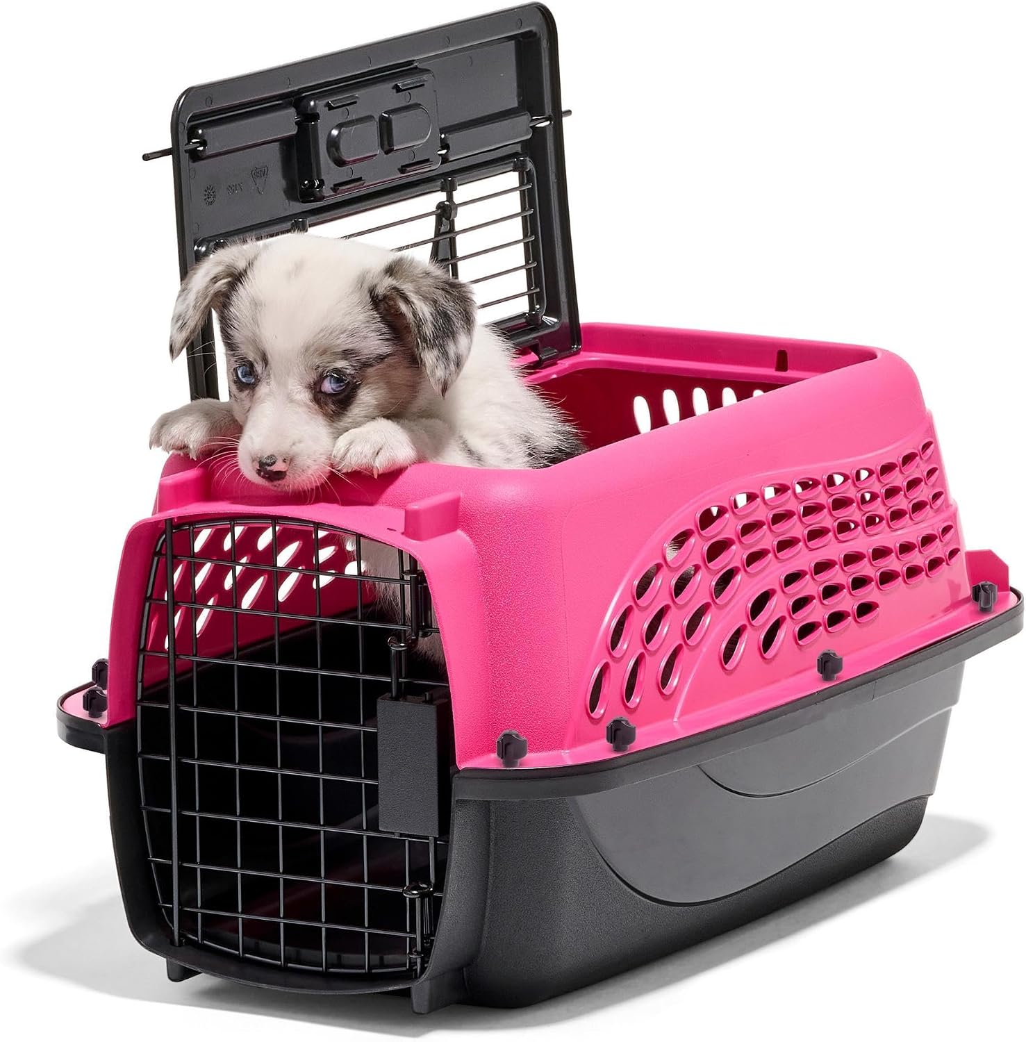 Petmate 2-Door Dog, Puppies & Cat Kennel, 19", White | Top & Front Loading, Made in USA, Extra Small