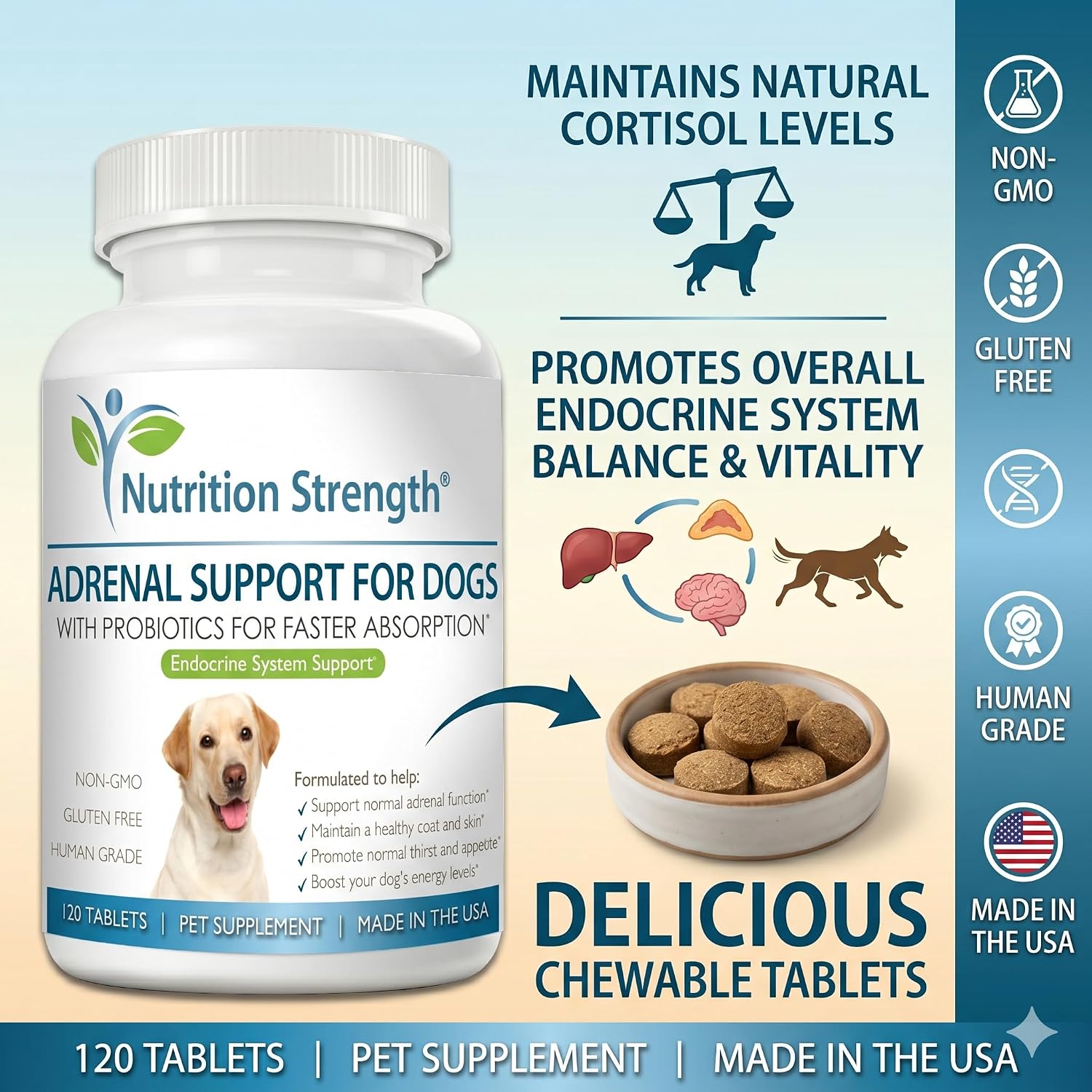 Adrenal Support for Dogs with Cushing's Disease | Maintain a Healthy Coat and Skin | Promote Normal Urination