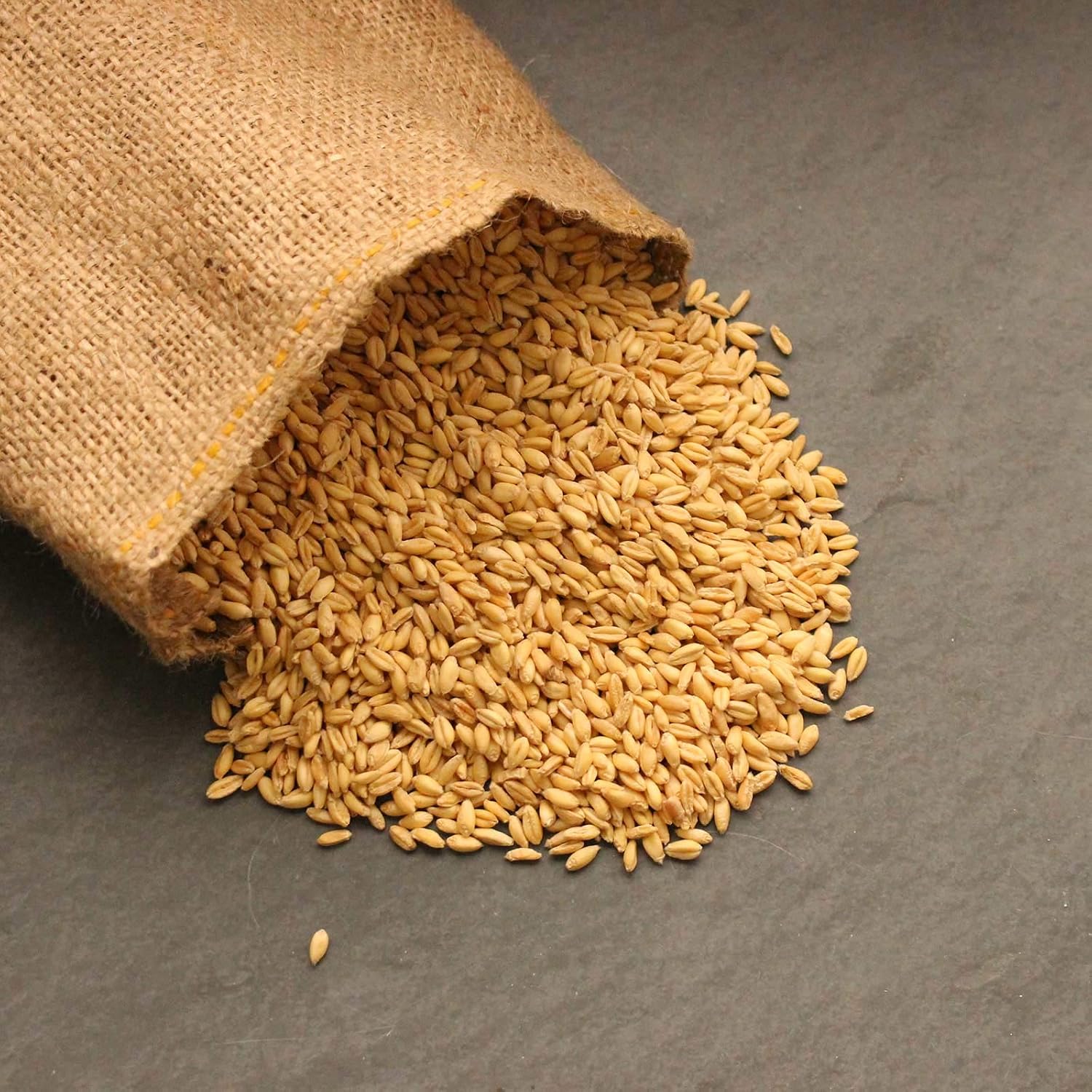Soft White Wheat - Organic - Handy Pantry Brand - Perfect for Food Storage, Flour, Baking, Sprouting & More (35Lb)
