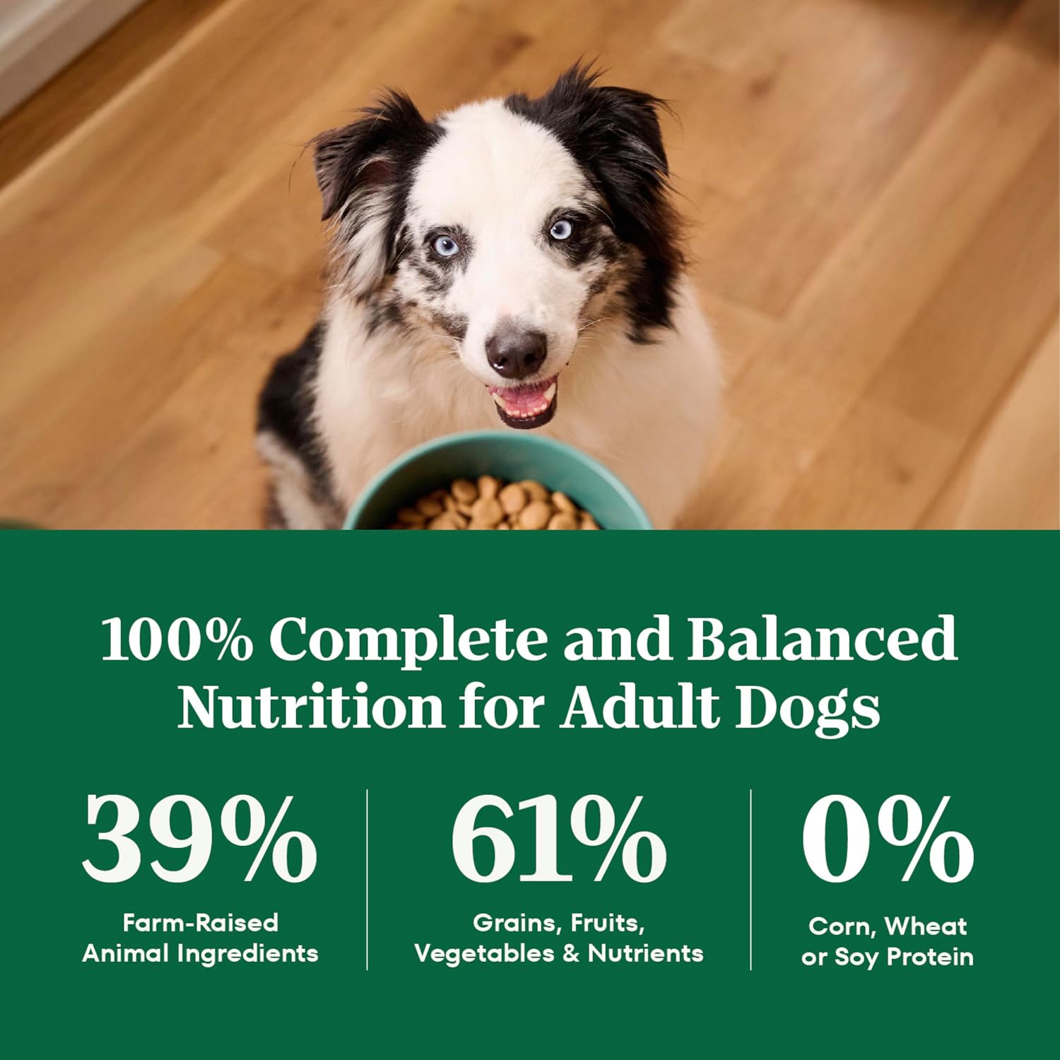 Nutro Natural Choice Adult Dry Dog Food, Chicken & Brown Rice Recipe, 5 lb | Non-GMO, Real chicken #1 ingredient, no corn, wheat, soy or chicken by-product meal, supports skin & coat/digestion/immunity