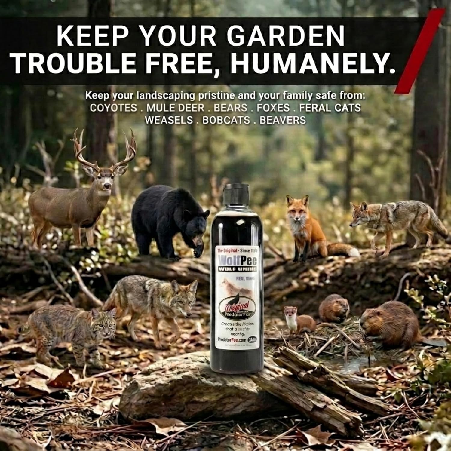 PredatorPee 100% Wolf Urine Natural Predator Scent Outdoor Yard Garden