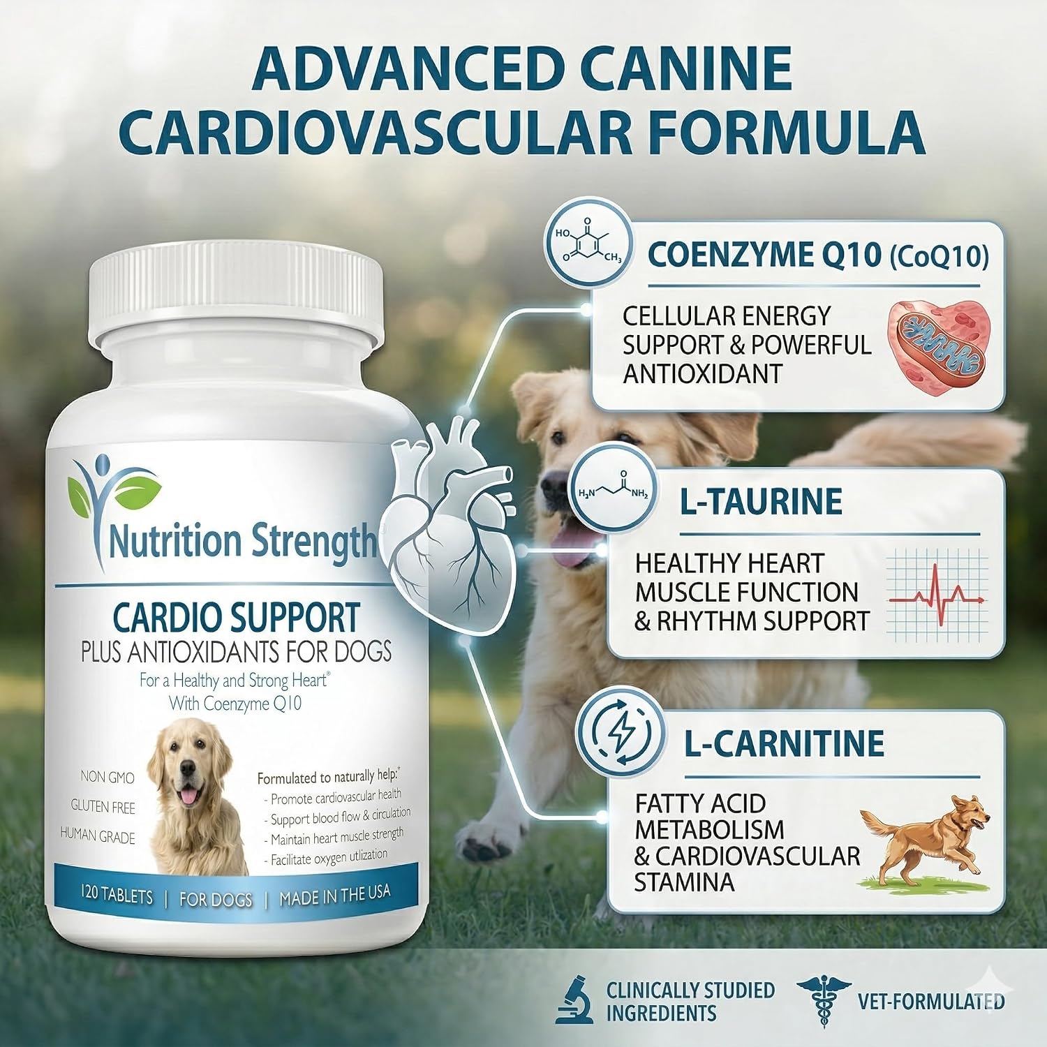 Cardio Support for Dogs Plus Antioxidant, L-Carnitine, L-Taurine, with Coenzyme Q10 and Vitamin E, Promotes a Healthy and Strong Dog Heart