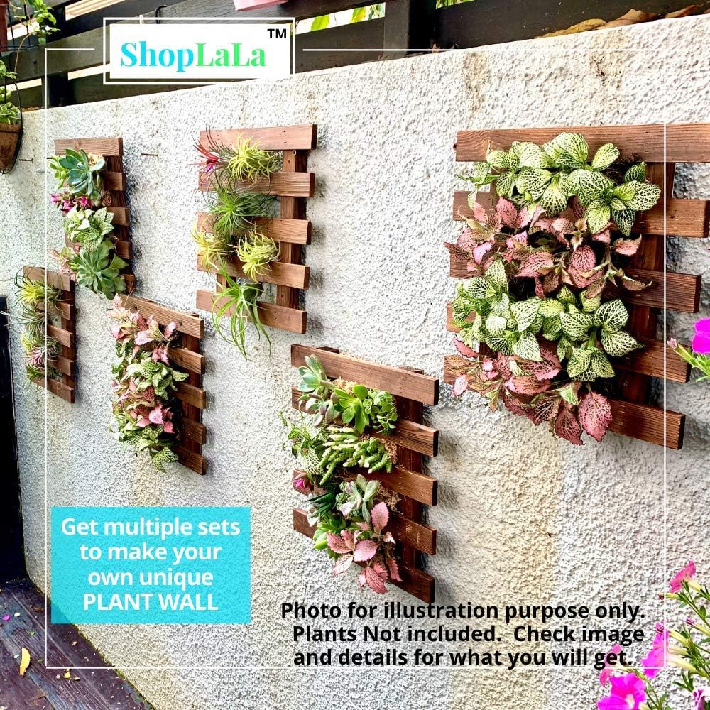 ShopLaLa Wall Planter (60cm, 2 Pack) Hanging Planters for Indoor Plants