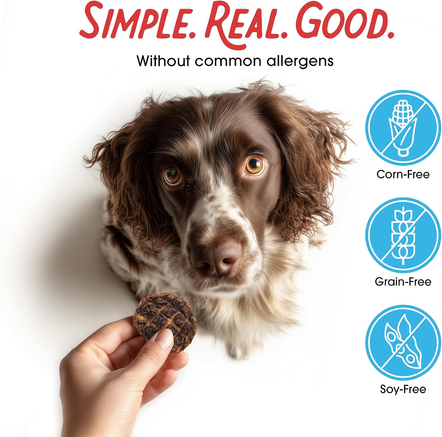 Farmland Traditions Filler Free Dogs Love Chicken Premium Jerky Treats for Dogs, 3 lb. Bag