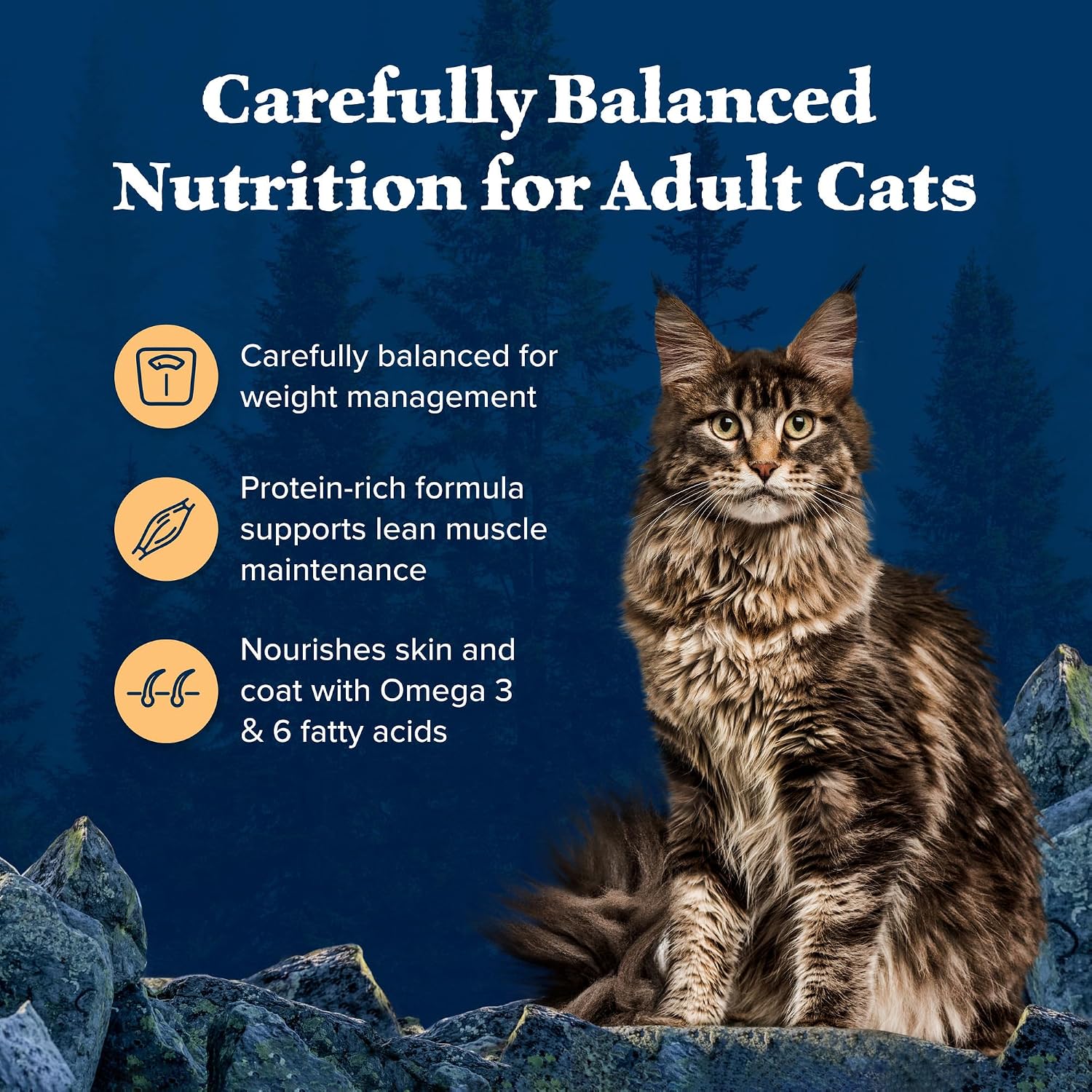 Blue Buffalo Wilderness Chicken Weight Control Dry Cat Food, 11 lb | Real Chicken #1 Ingredient, High Protein & Grain-Free, Supports Immunity with Antioxidant-Rich LifeSource Bits