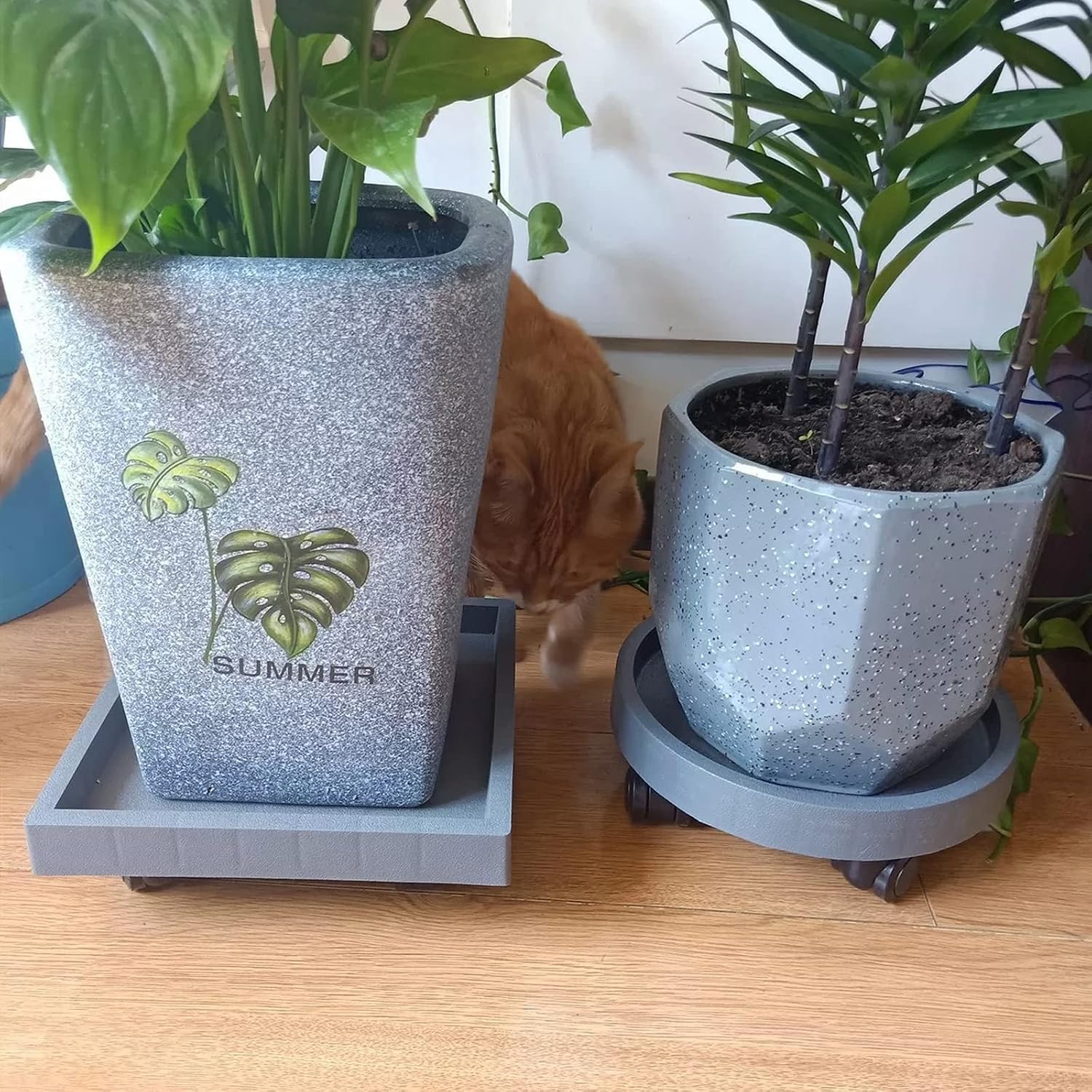 2 Pack of 11 Inch Heavy Duty Plant Caddy with Wheels, Rolling Plant Stand Pot Trolley, Wheeled Planter Saucer Tray