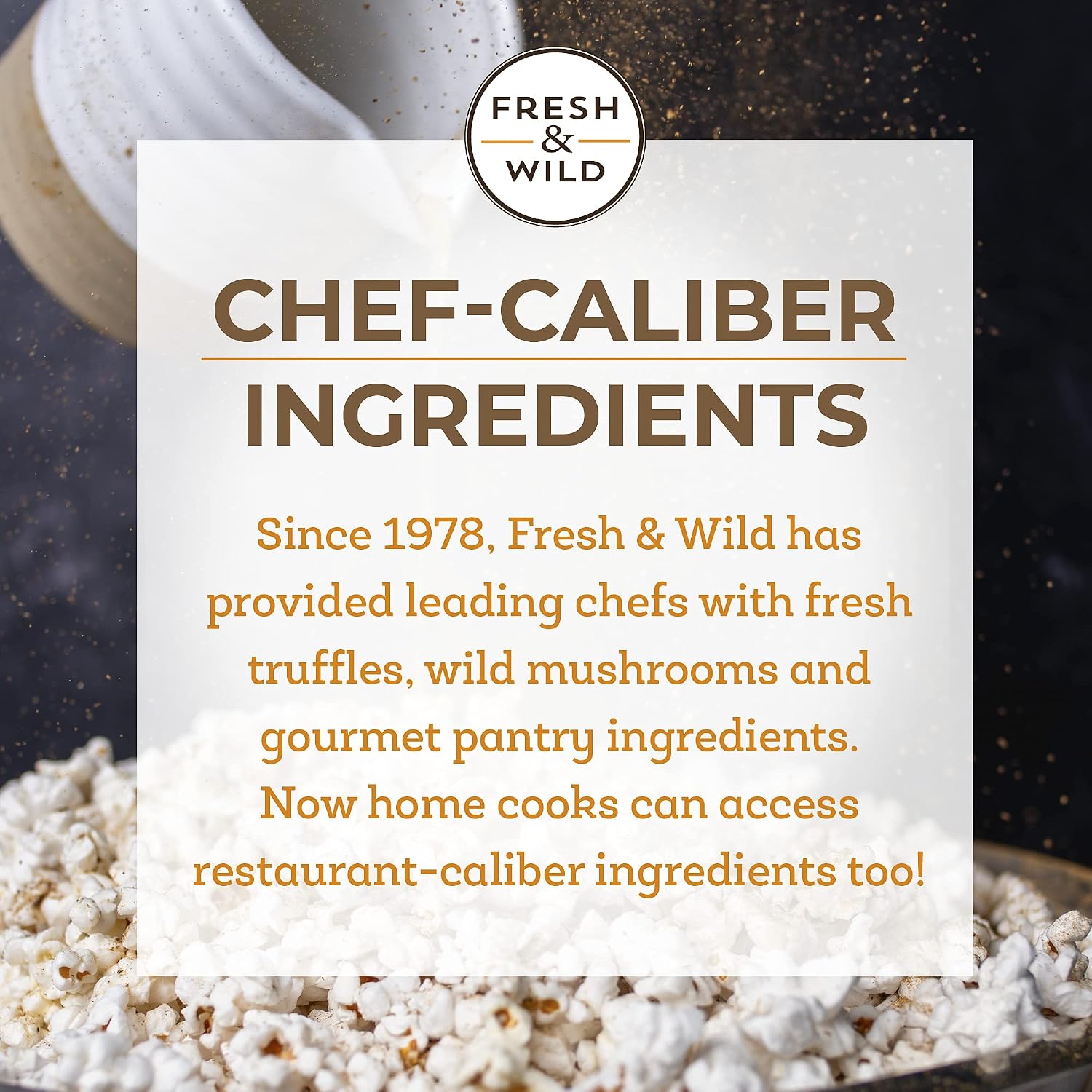Fresh & Wild | Premium Truffle Parmesan Black Garlic Seasoning | Heighten Umami-Rich Foods, Toss with French Fries