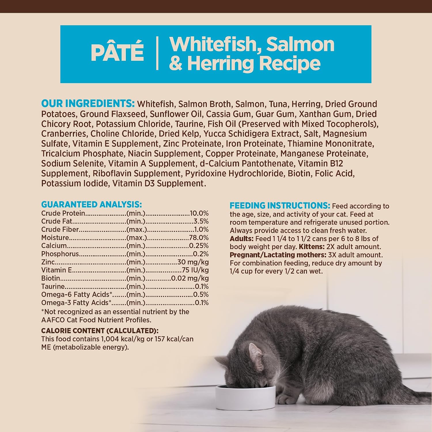 Wellness CORE Pate Adult Canned Wet Cat Food, Natural, Protein Rich, Grain Free, Turkey and Duck Recipe, 3 oz, Pack of 12 Cans