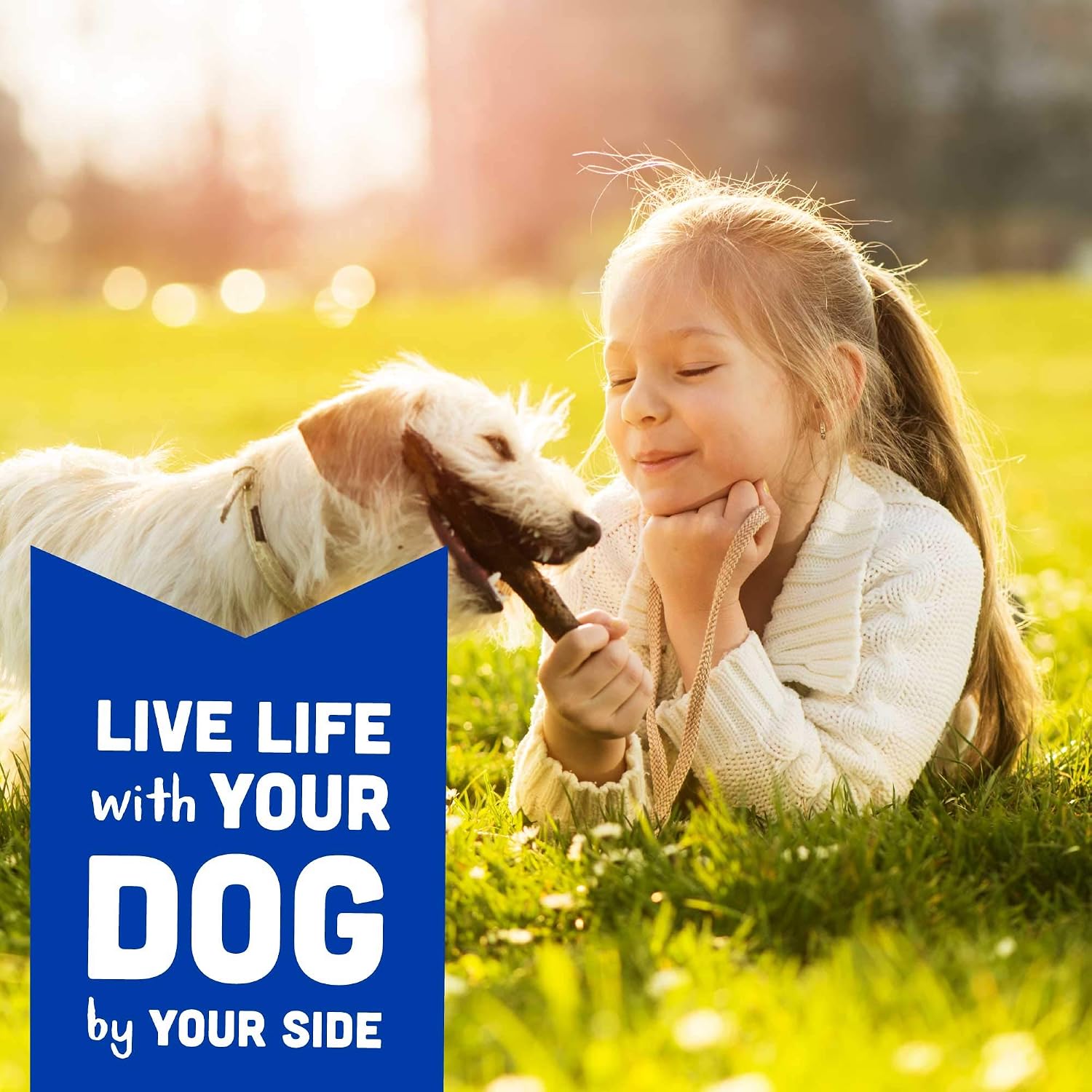 Cloud Star Wag More Bark Less - Dog Treats - Soft Chews - Grain Free Chicken & Sweet Potato - 5 oz Pouch