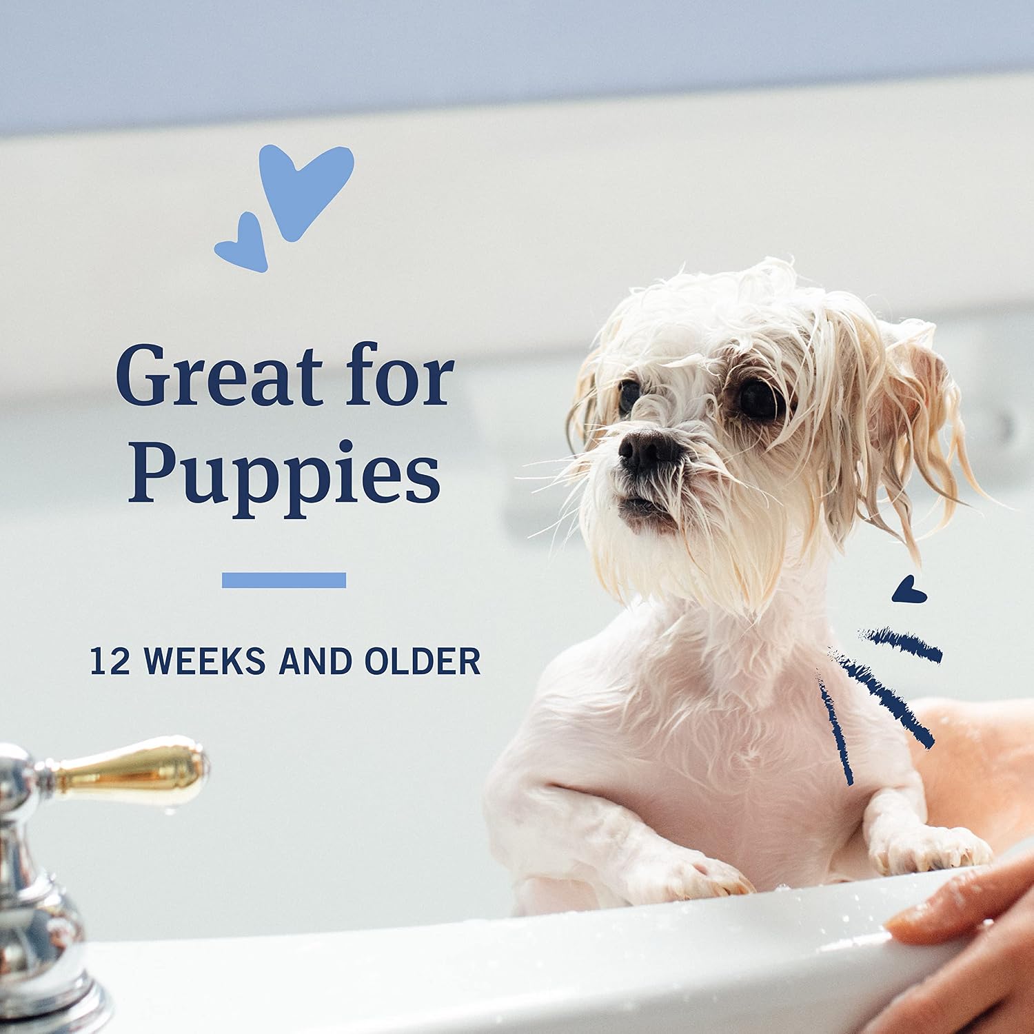 PetArmor Plus Flea & Tick Oatmeal Shampoo Dogs, 7-Day, Tropical, 18oz
