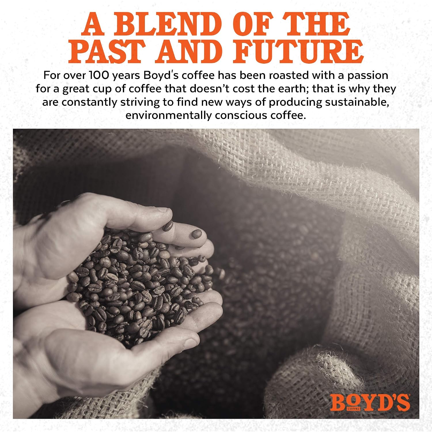 Boyd's Coffee French No. 6 Coffee –Ground Dark Roast– Blended from 100% Arabica – Rich & Full-Flavored – 12 oz.