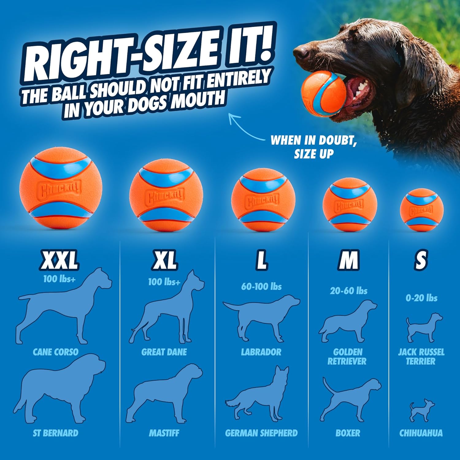 Chuckit! Sport 14S Ball Launcher for Small Dogs, 14-Inch Manual Thrower with 2-Inch Ball, Fits Dogs up to 20 lbs