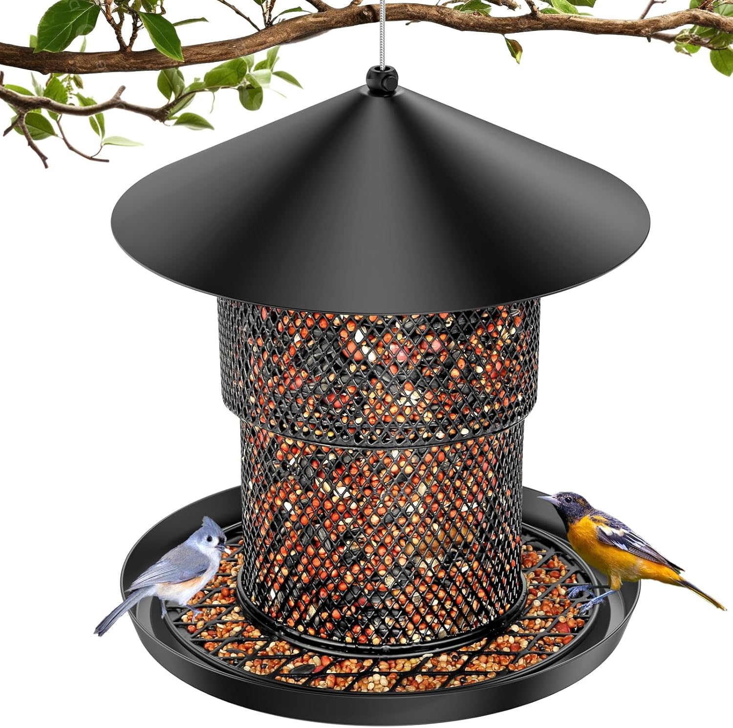 Bird Feeder for Outdoor Hanging