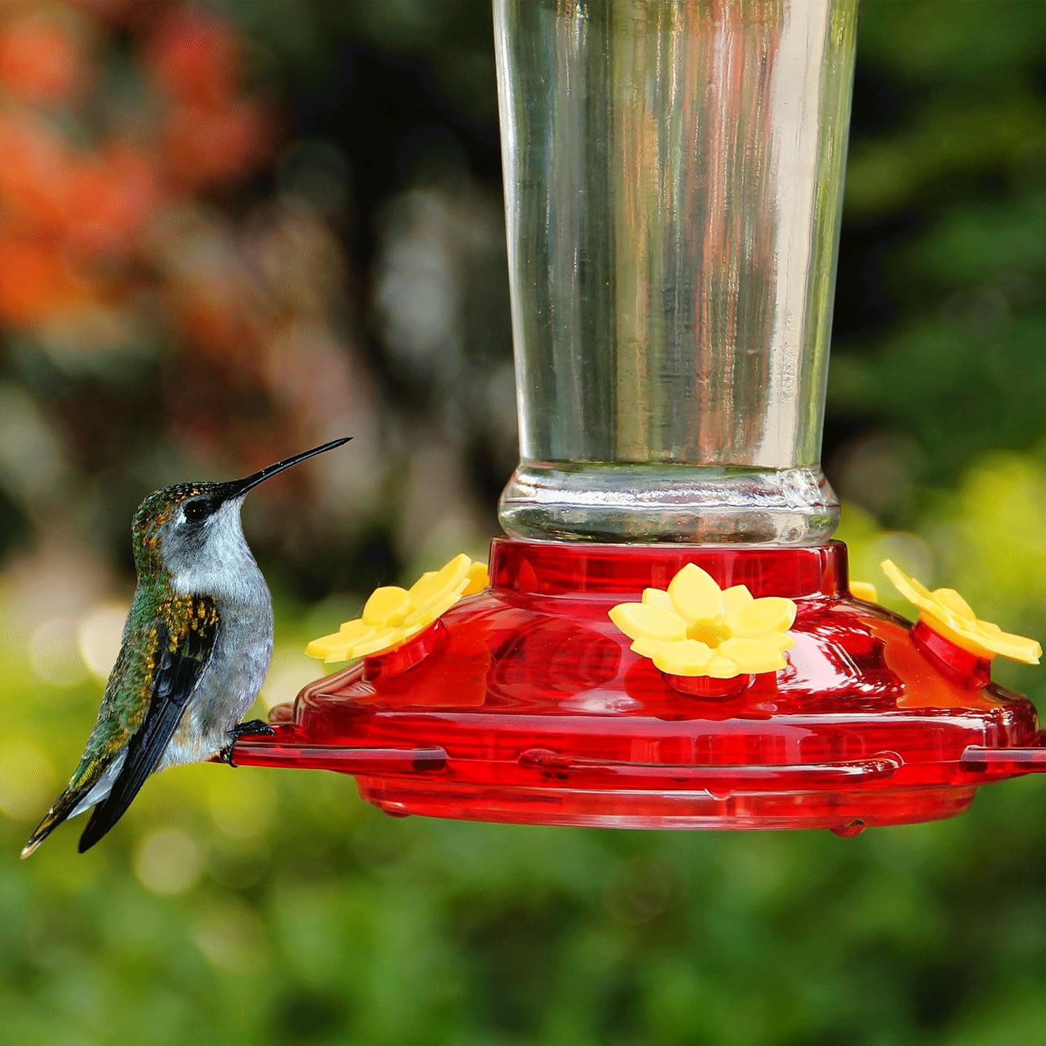 Shrdaepe Hummingbird Feeder, Glass Bottle Bird Feeders, 5 Feeding Ports, 10-Ounce Nectar Capacity