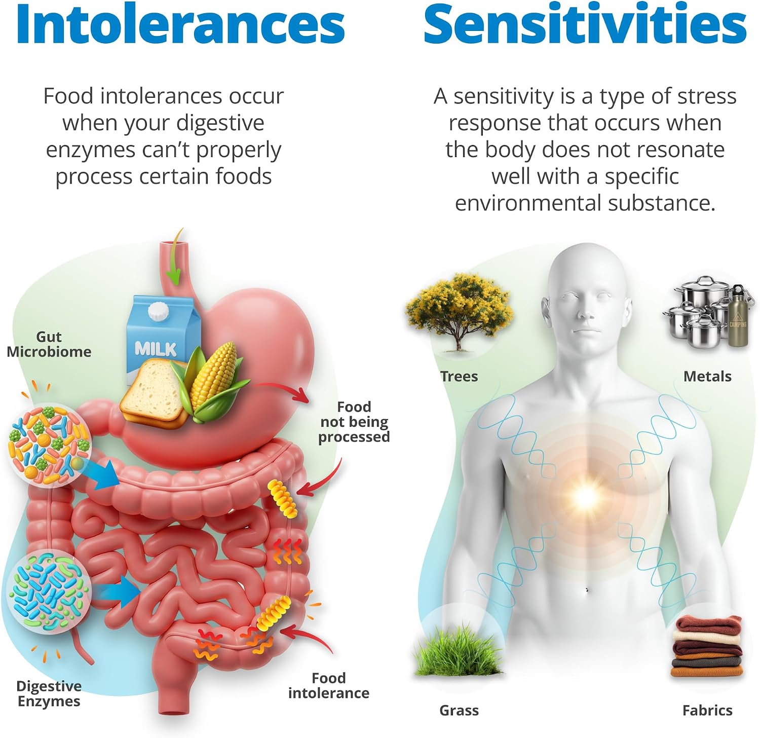 5Strands Food Intolerance, Environmental & Heavy Metal Sensitivity, and Nutritional Imbalance Test for Adults & Kids, 1350 Items Tested