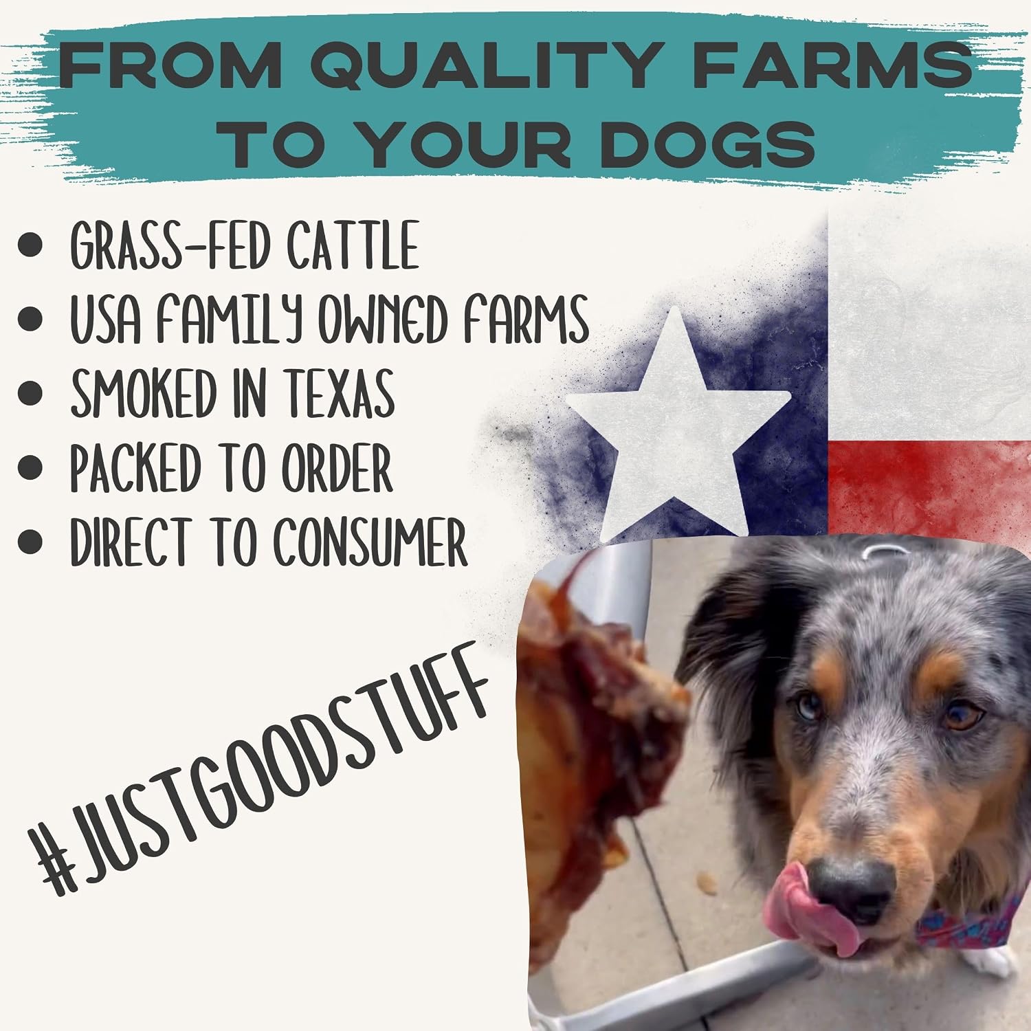 JACK'S PREMIUM Knee Cap Dog Bone - Made in USA All Natural Beef Chew - Long Lasting Meaty Bones for Large Dogs