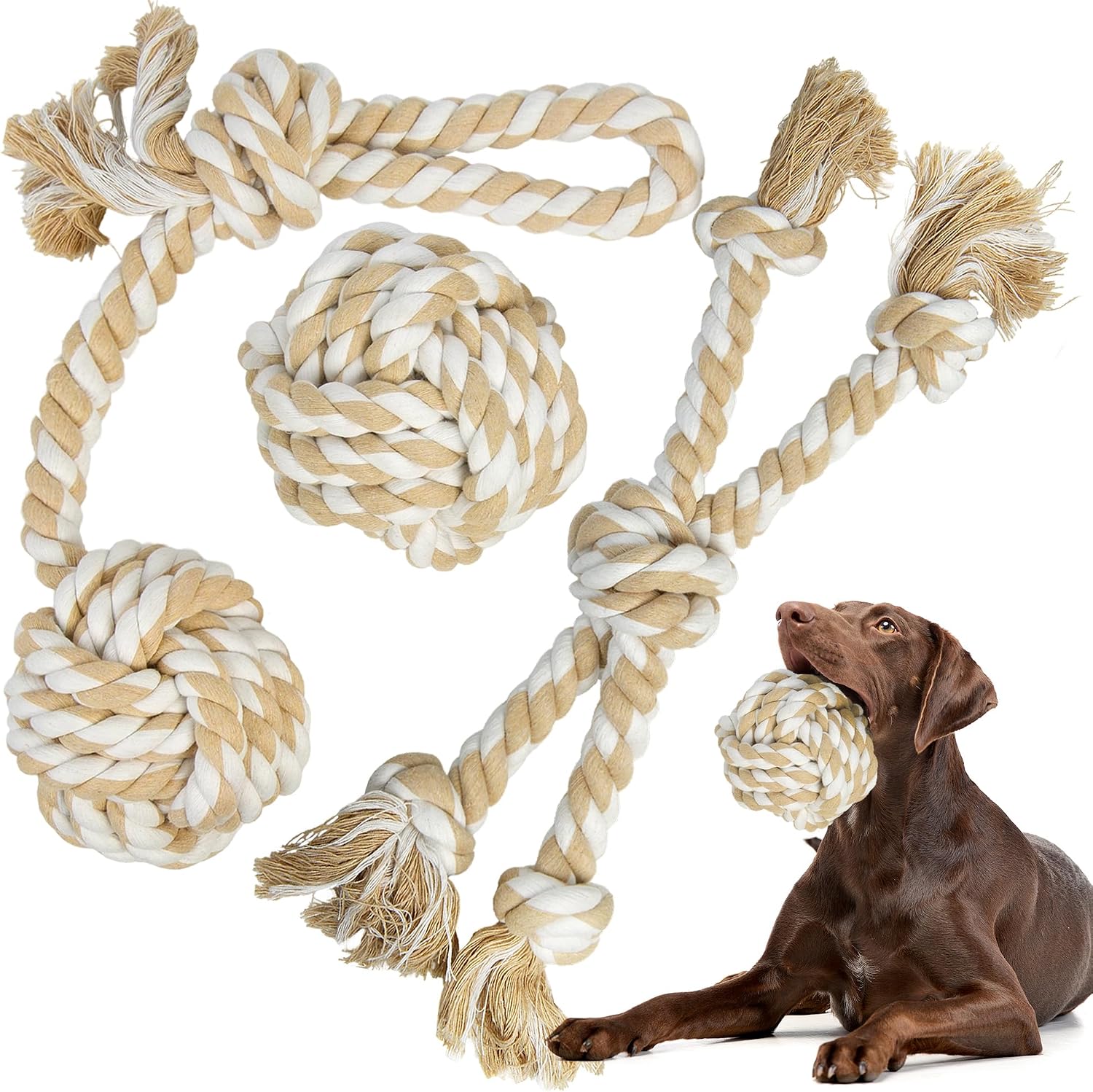TwoEar Dog Rope Toy 4 Pack - Puppy Teething Toys for Small Breed
